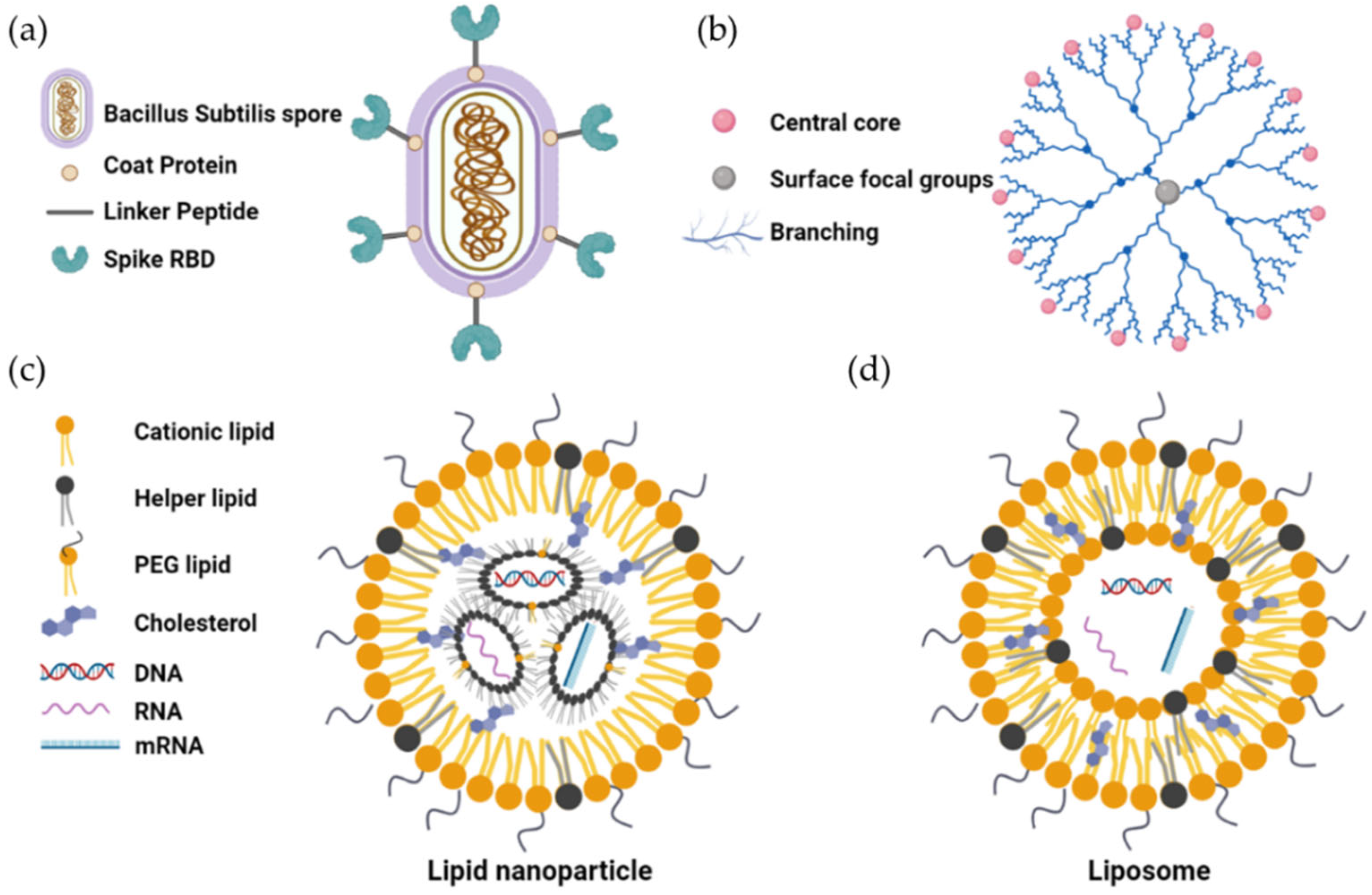 Vaccines 11 01232 g003