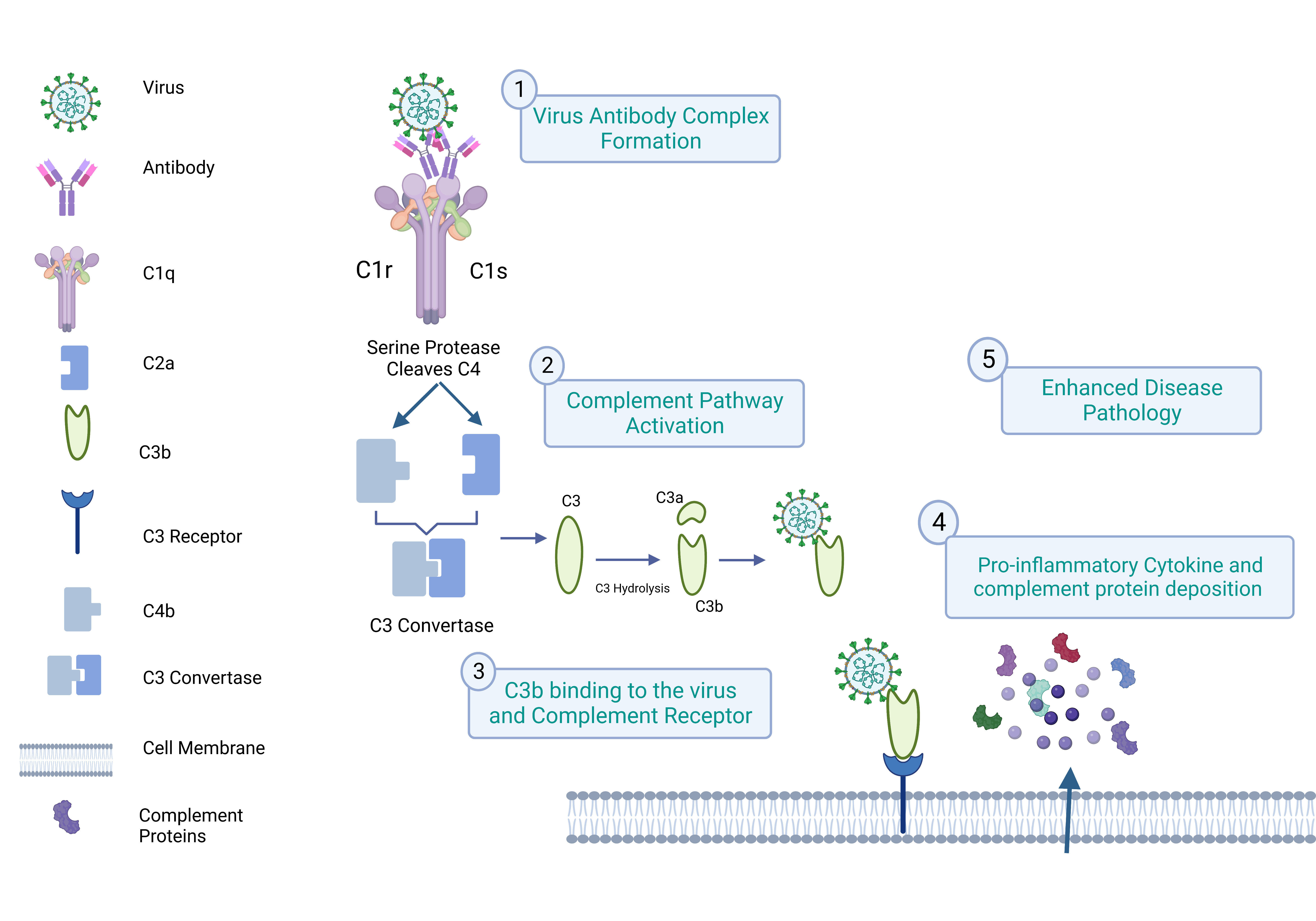 Vaccines 11 01240 g002 Vaccines 11 01240 g002