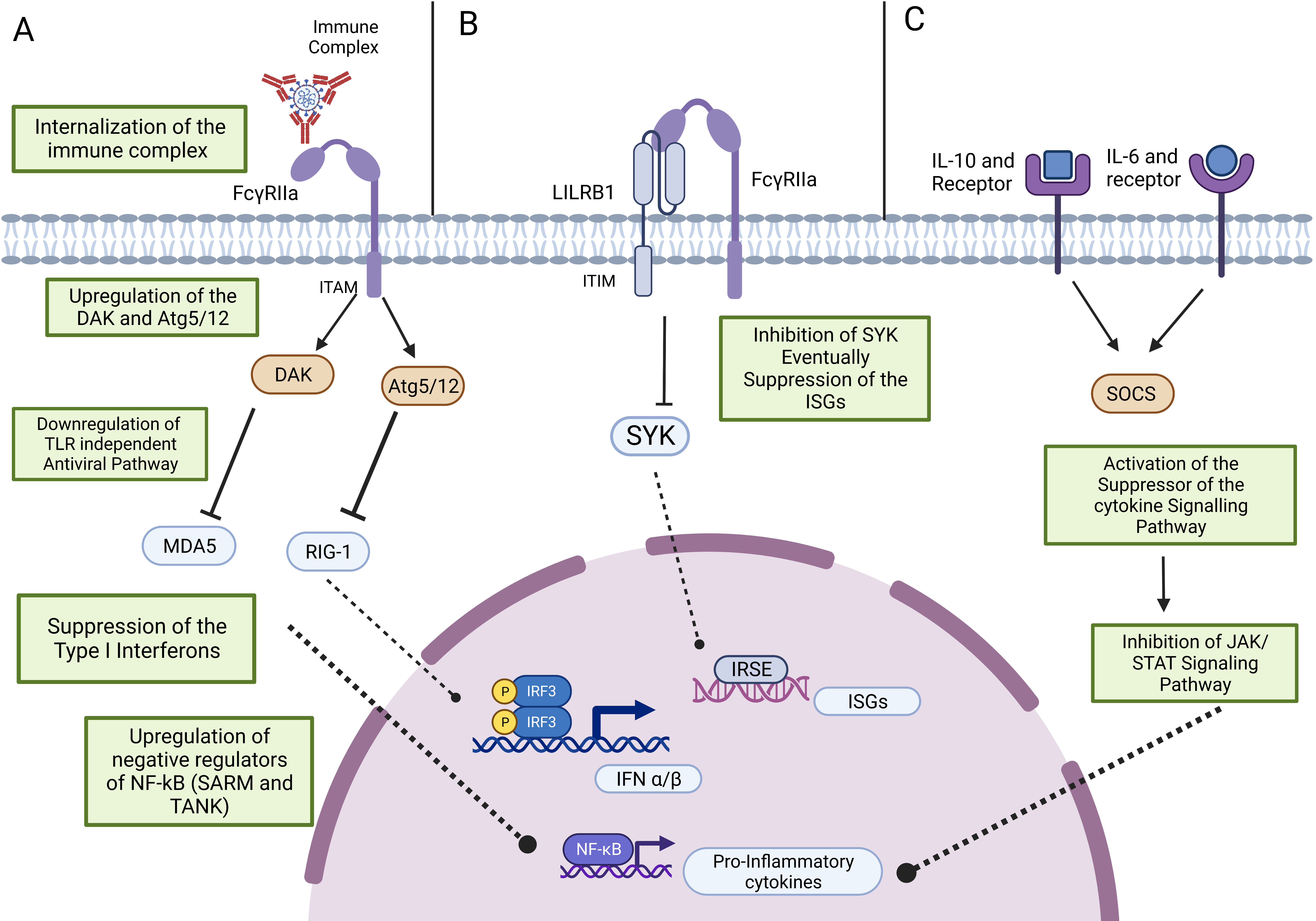 Vaccines 11 01240 g003 Vaccines 11 01240 g003