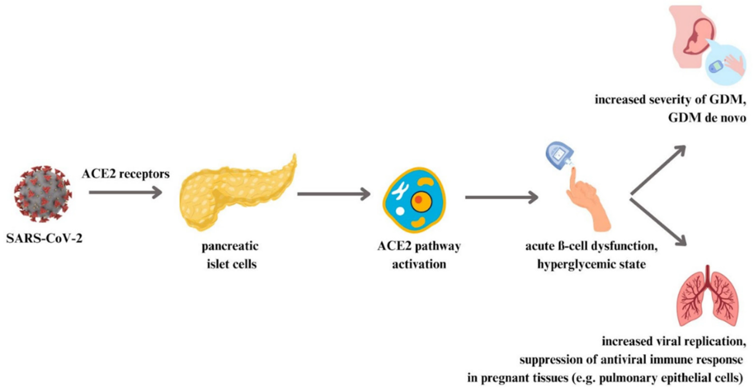 Vaccines 11 01247 g002 Vaccines 11 01247 g002