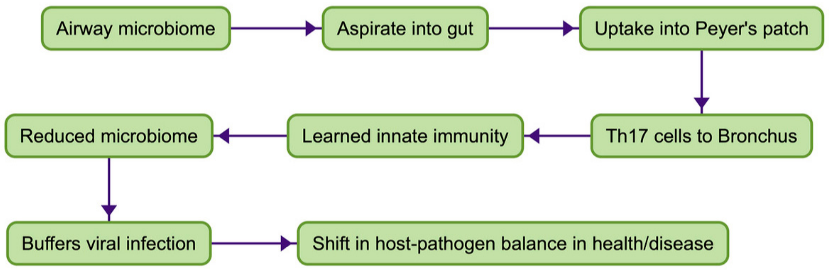 Cells At Work Season 2 review: The benefits of vaccination and probiotics  explained