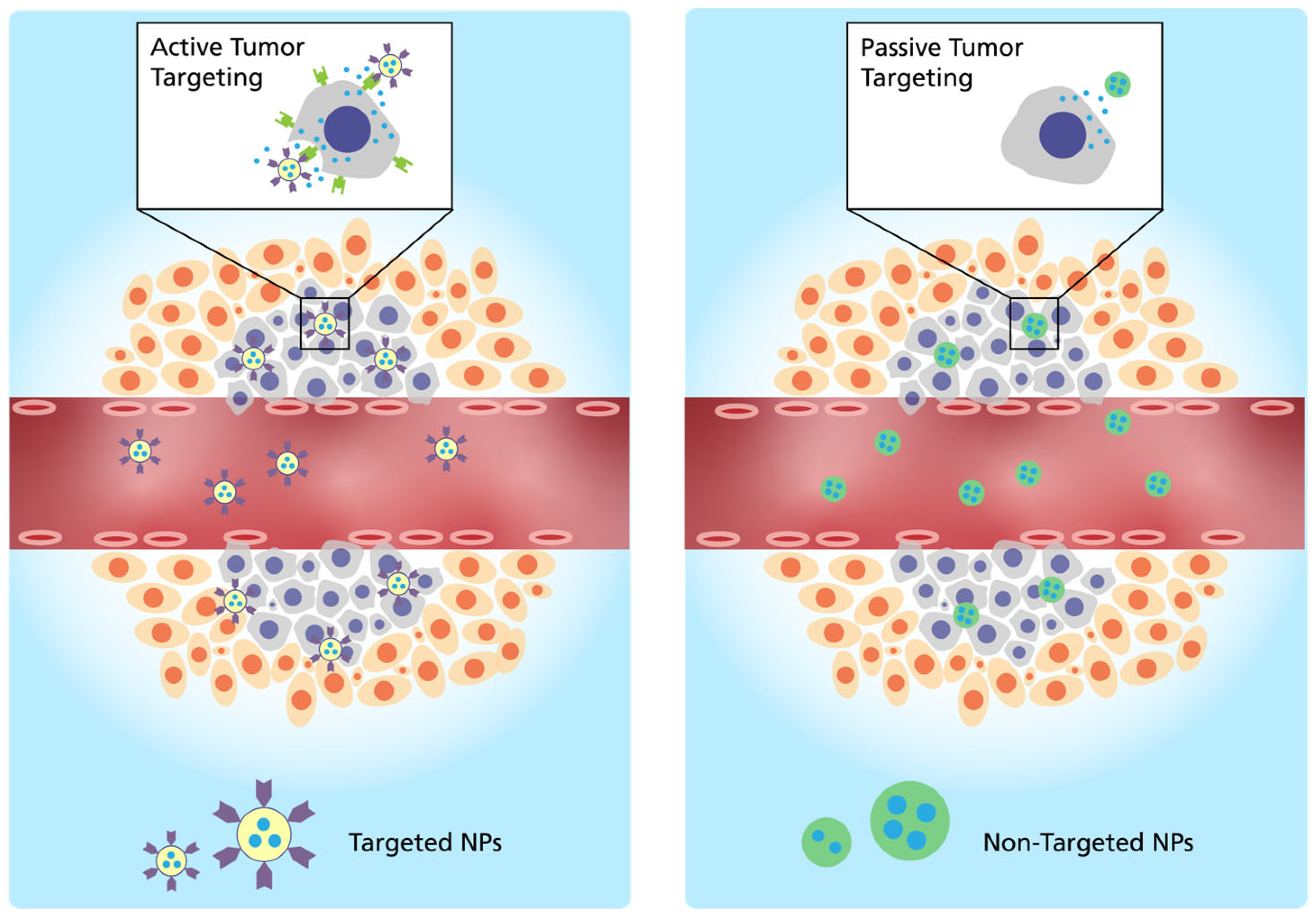 Vaccines 11 01287 g001 Vaccines 11 01287 g001