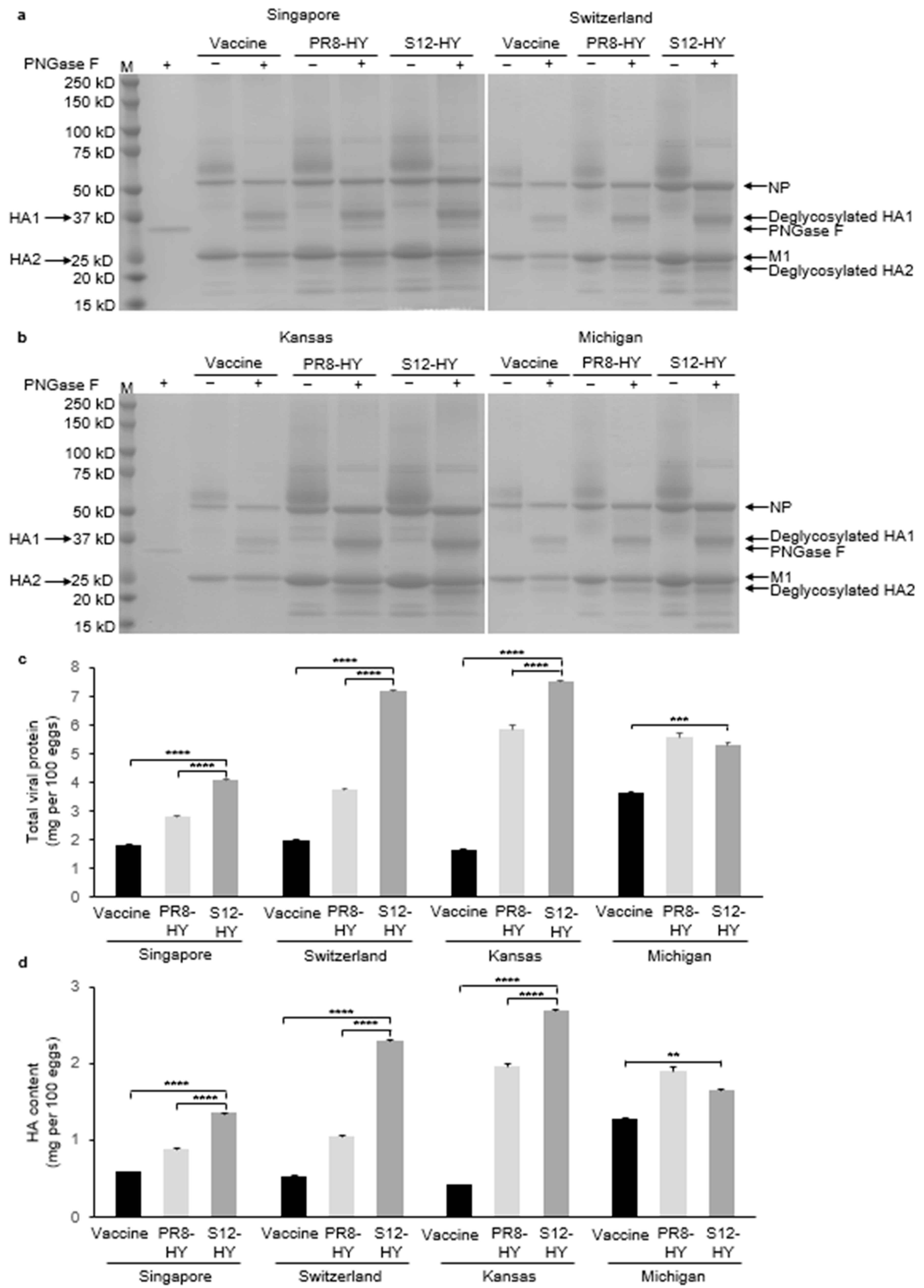 Vaccines 11 01364 g004 Vaccines 11 01364 g004