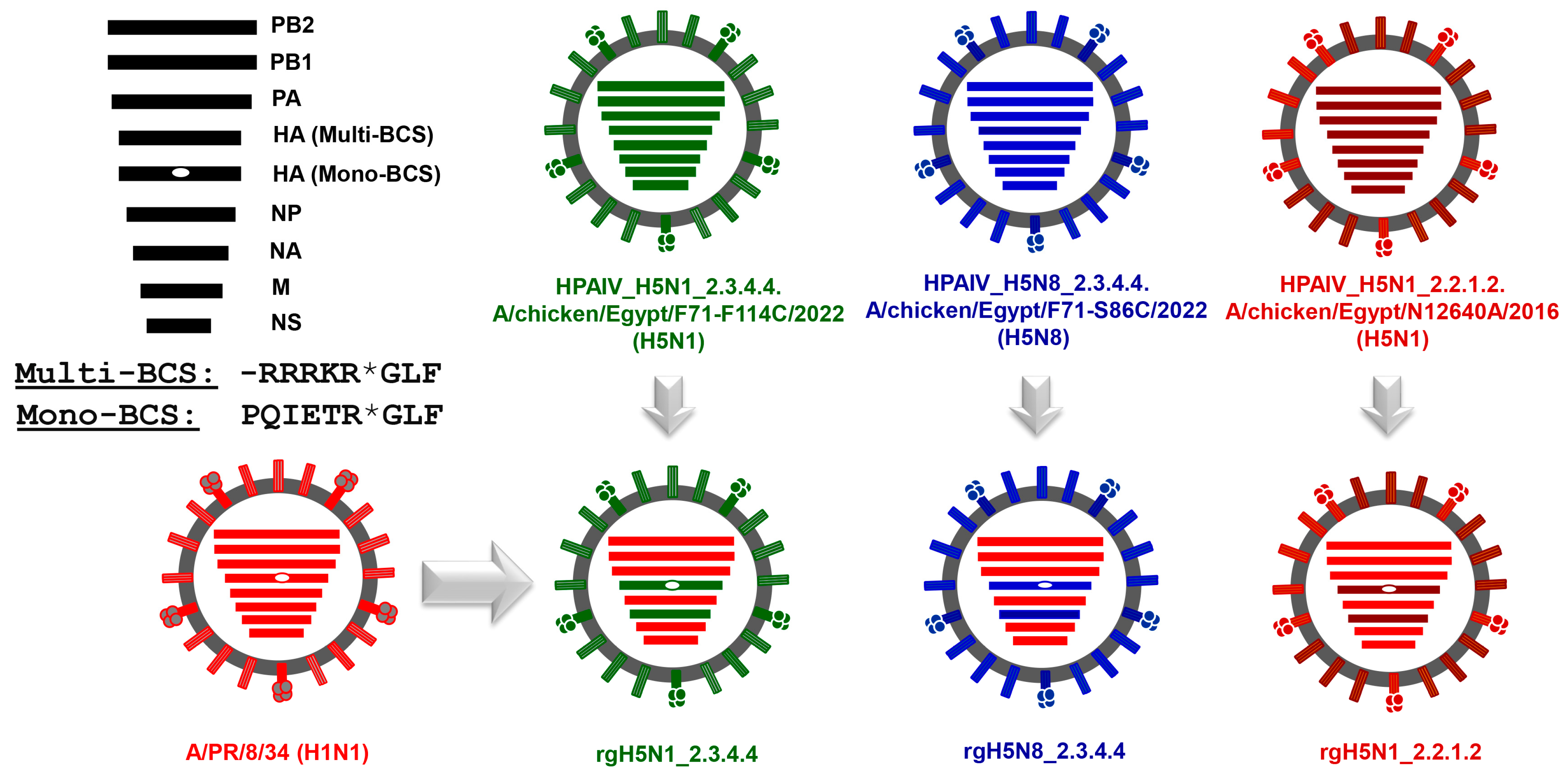Vaccines 11 01397 g002