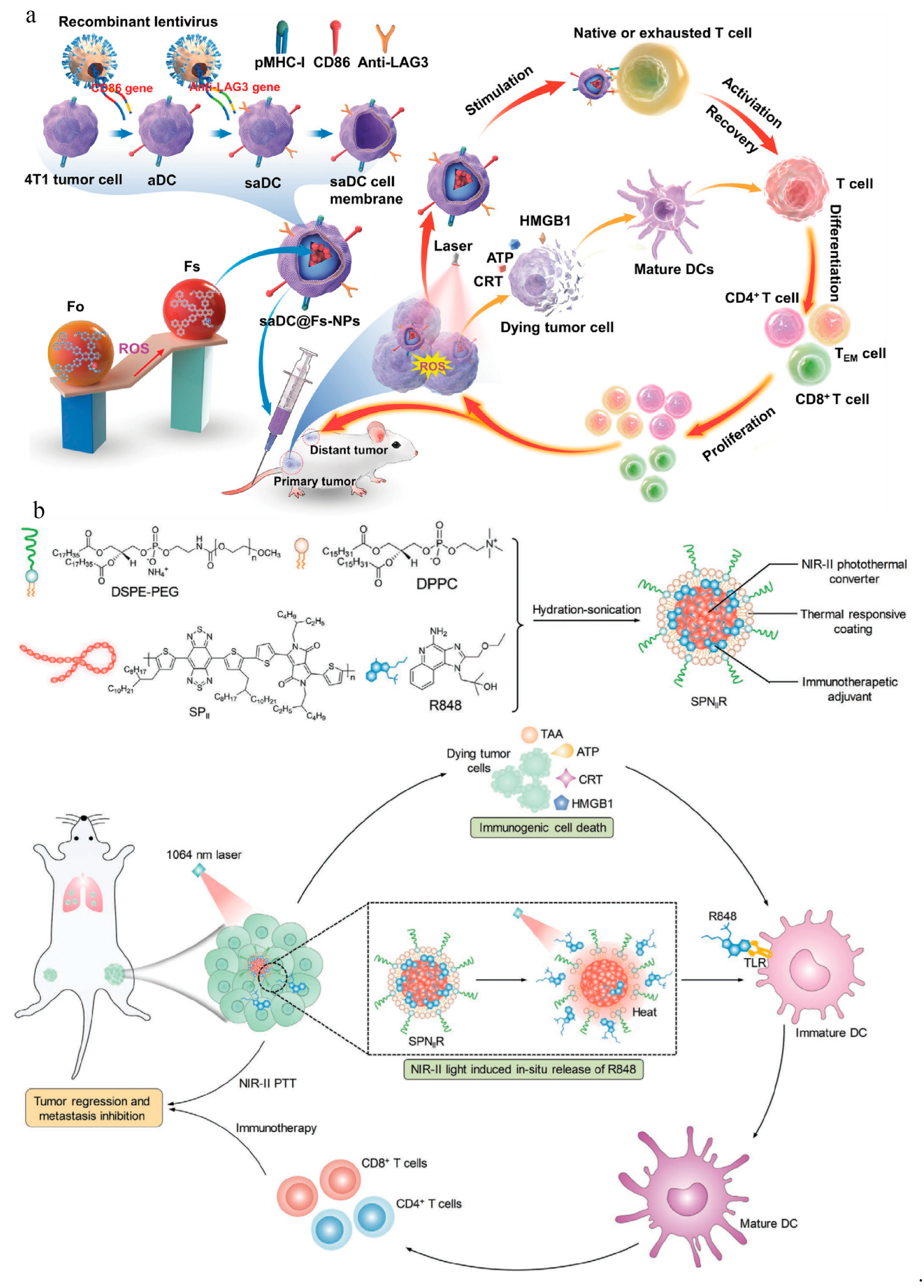 Vaccines 11 01440 g003