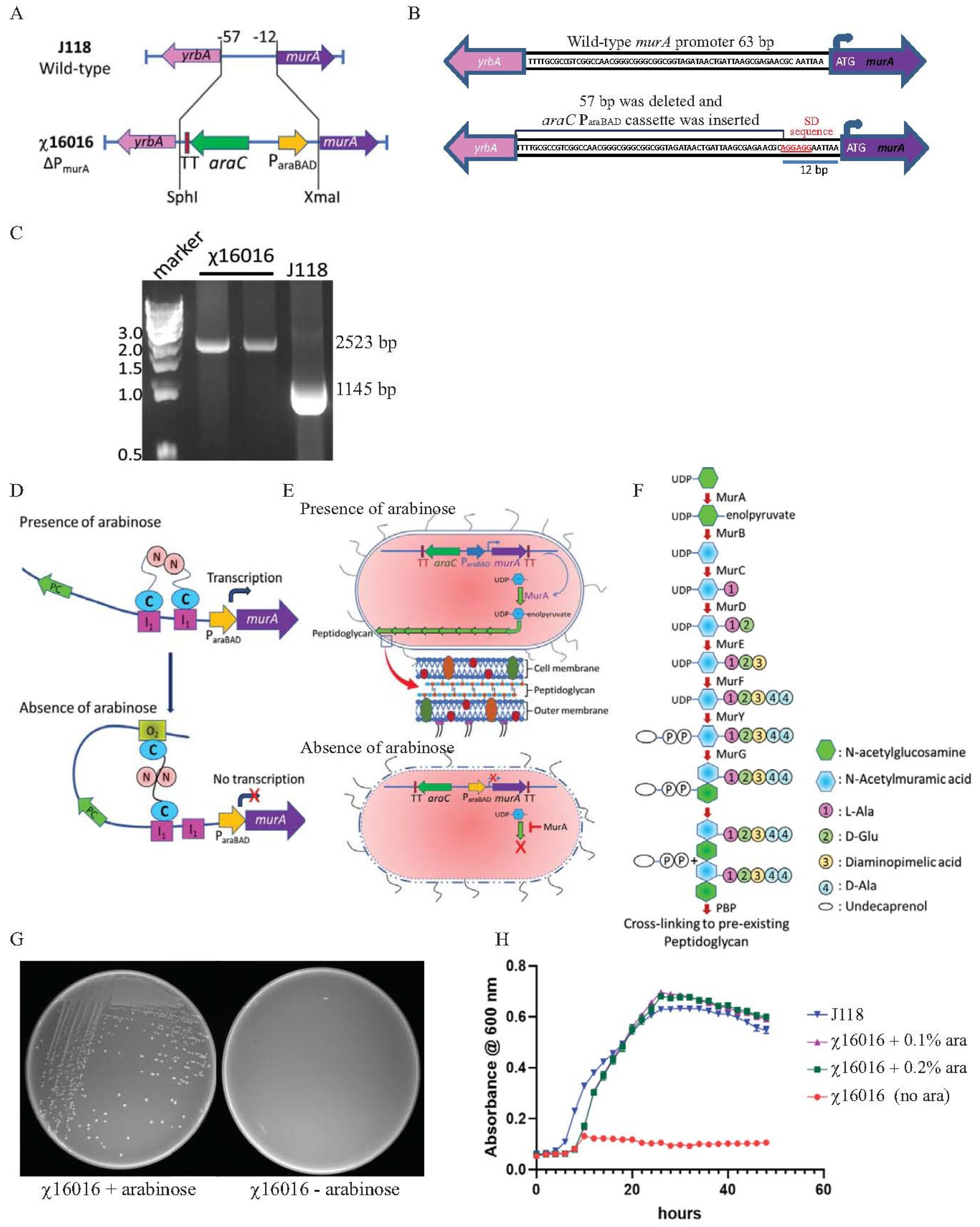 Vaccines 11 01470 g002