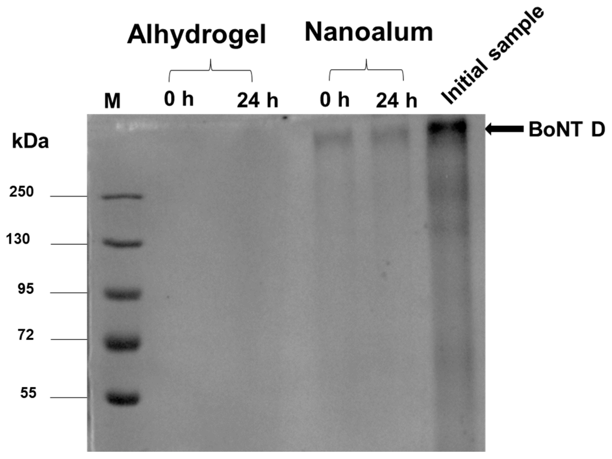 Vaccines 11 01473 g004