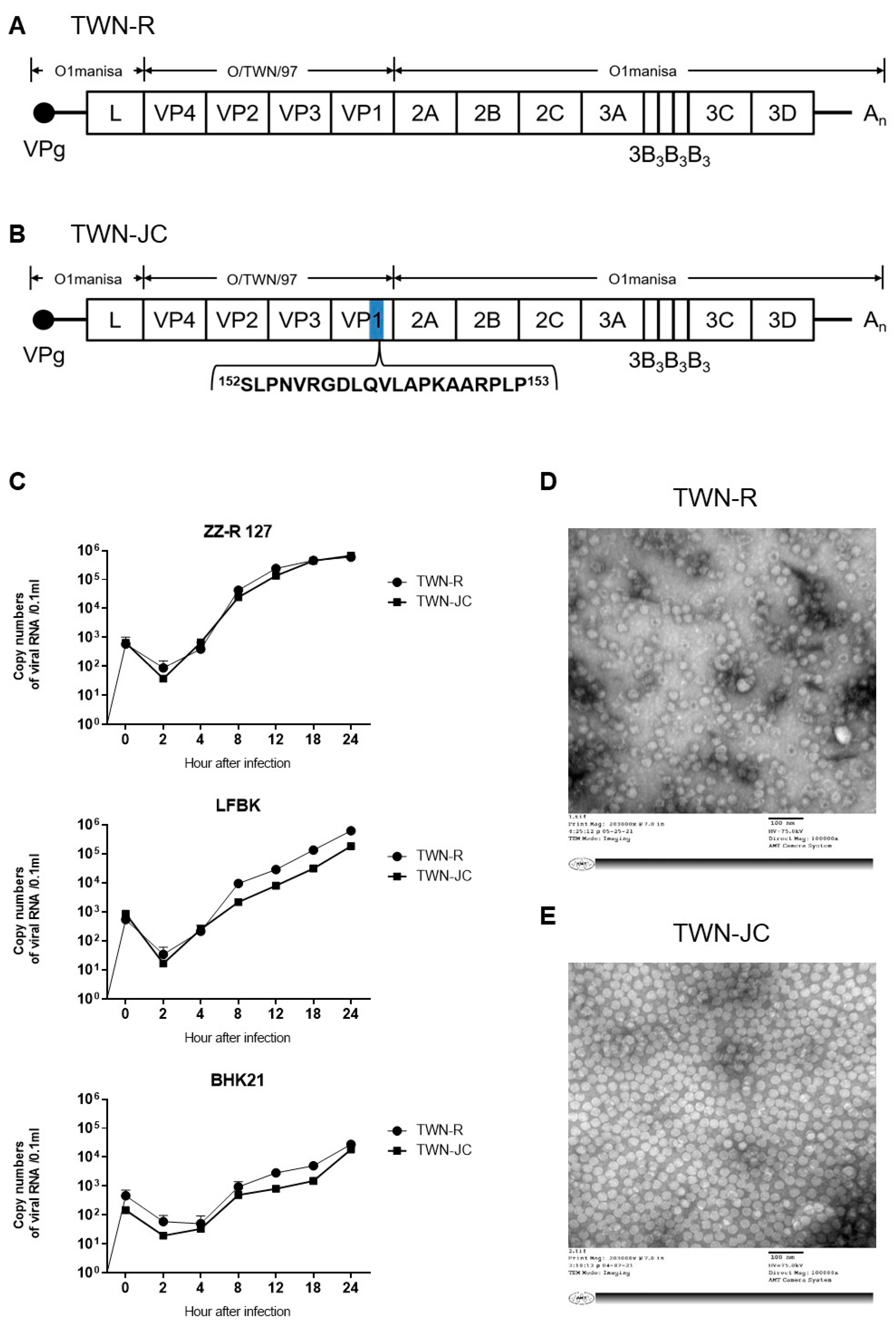 Vaccines 11 01487 g001