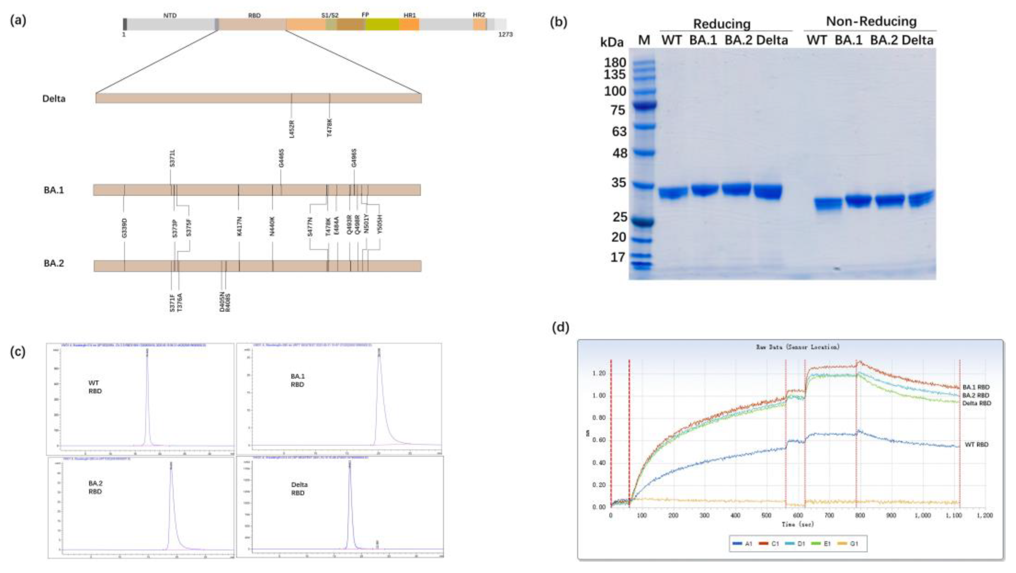 Vaccines 11 01539 g001