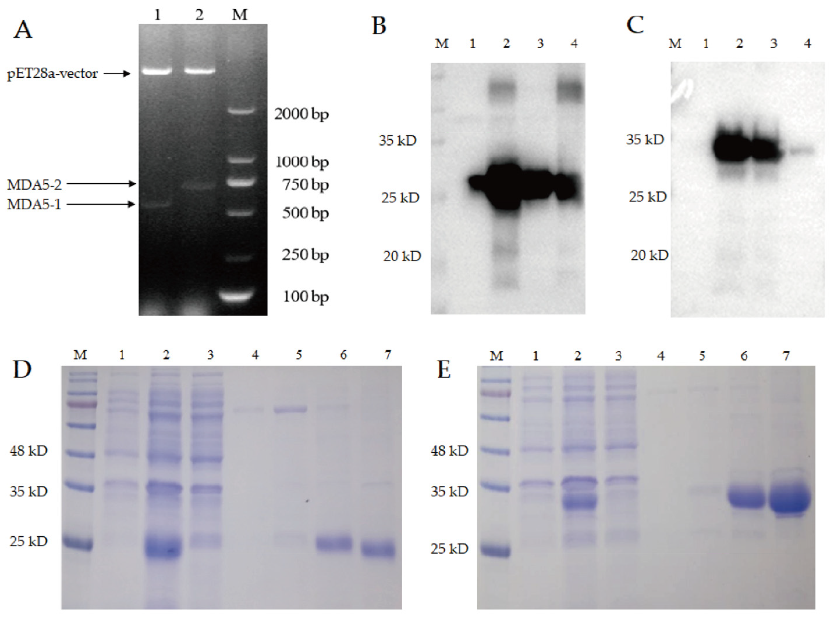 Vaccines 11 01542 g003