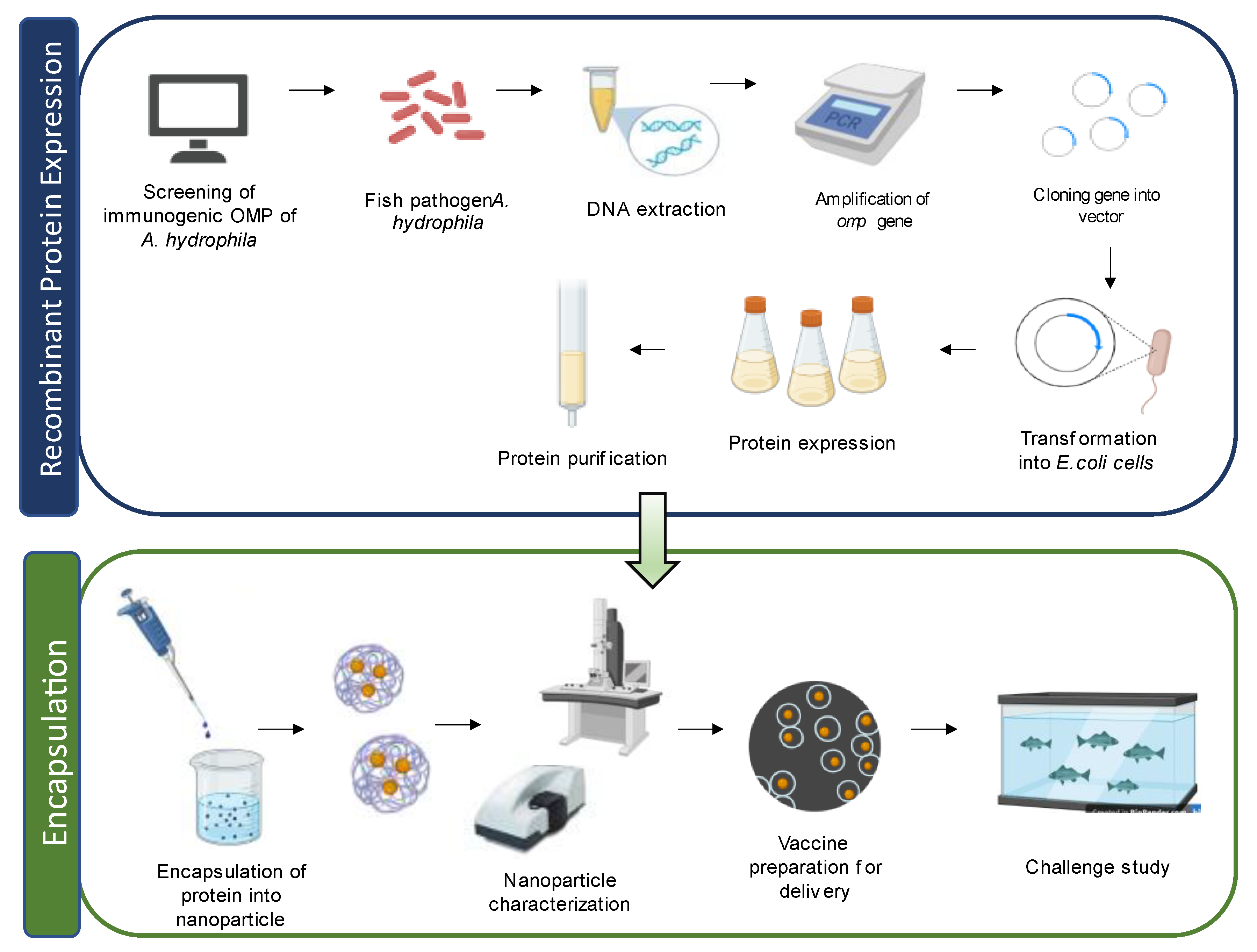 Vaccines 11 01555 g004