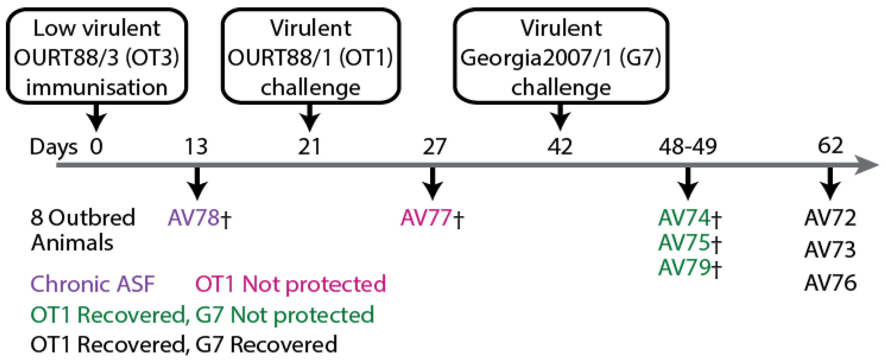 Vaccines 11 01577 g002