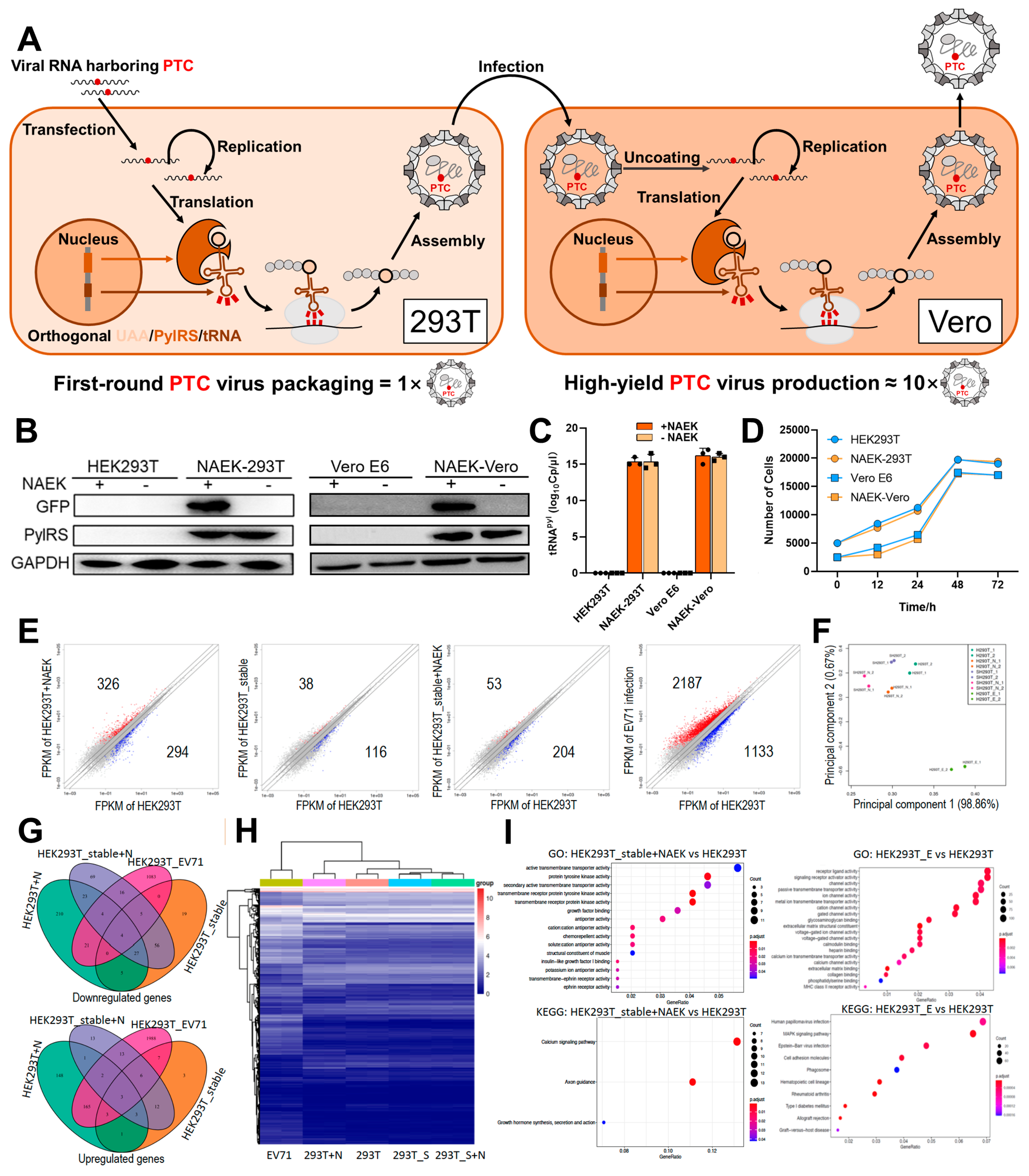 Vaccines 11 01606 g001 Vaccines 11 01606 g001