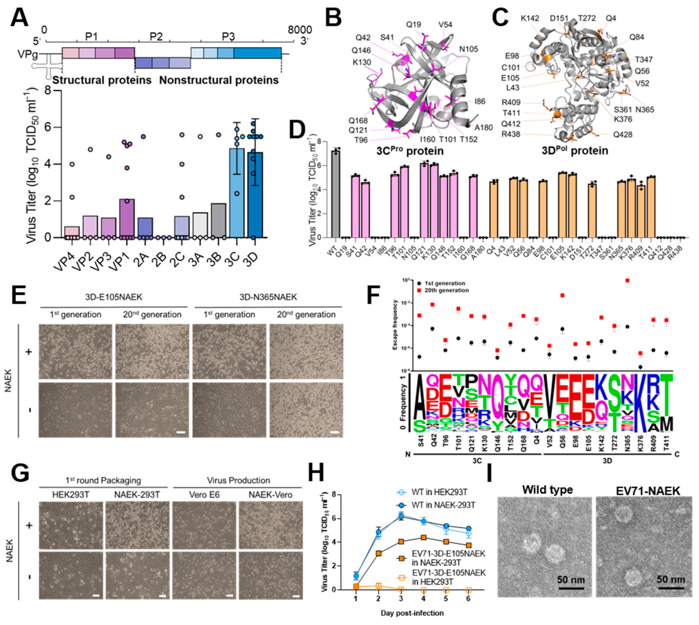 Vaccines 11 01606 g002 Vaccines 11 01606 g002
