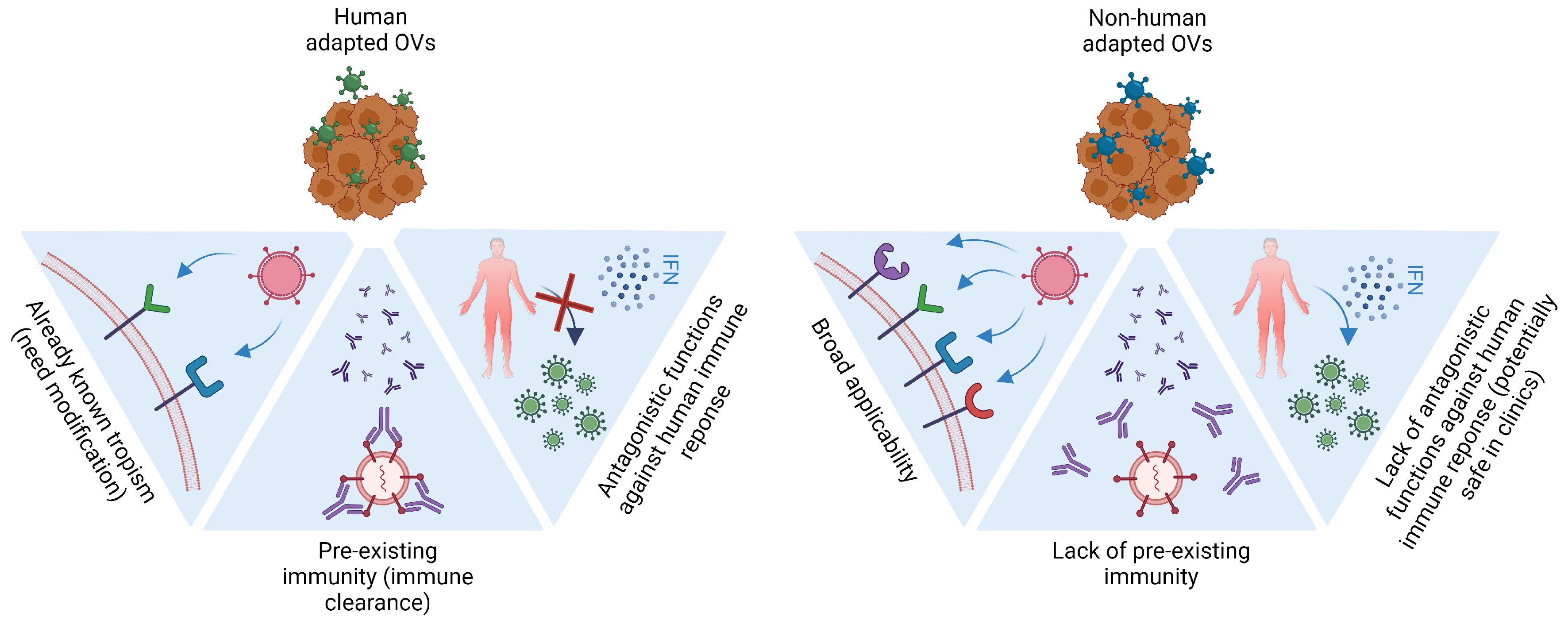 Vaccines 11 01617 g003 Vaccines 11 01617 g003