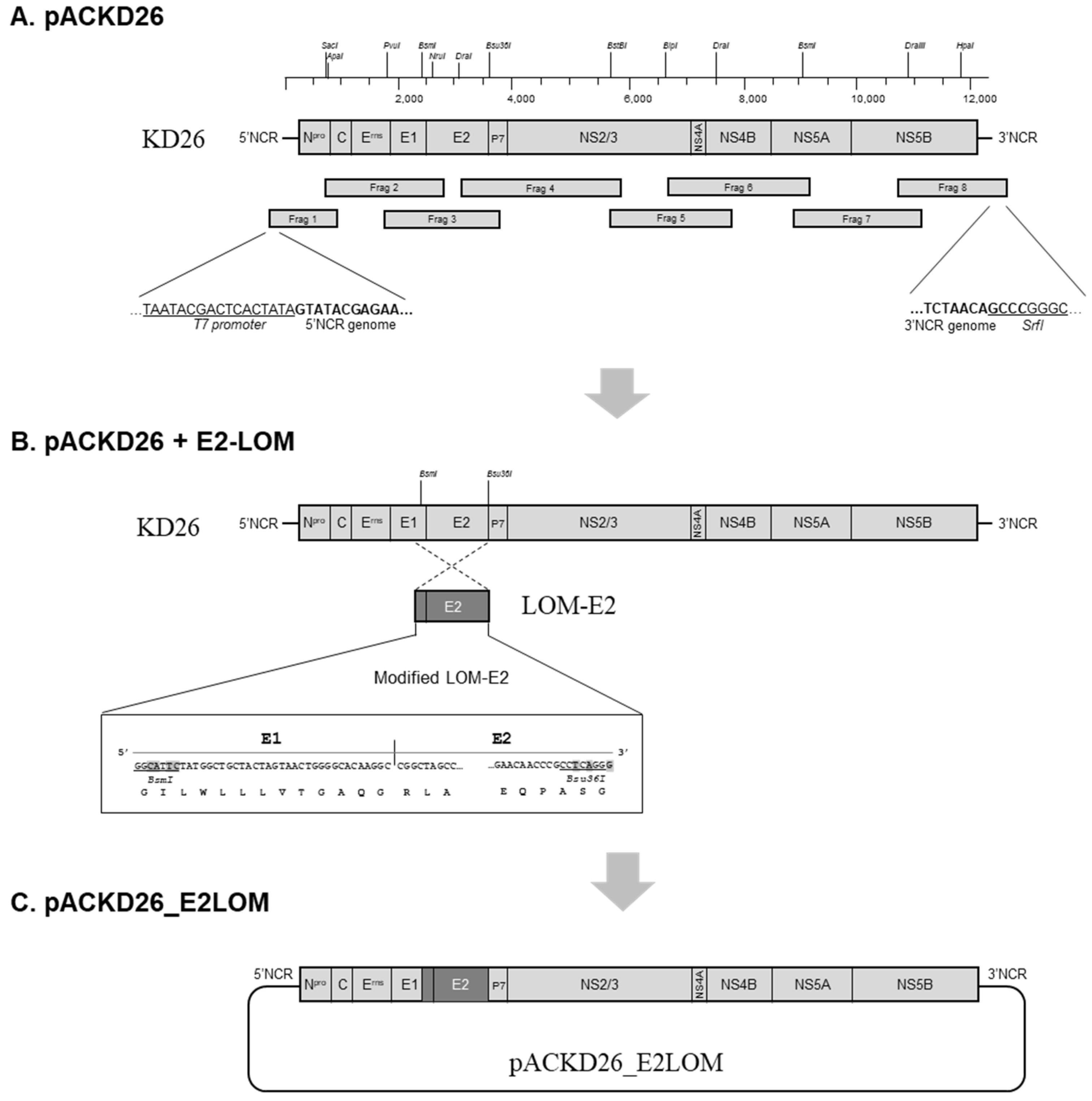 Vaccines 11 01622 g001