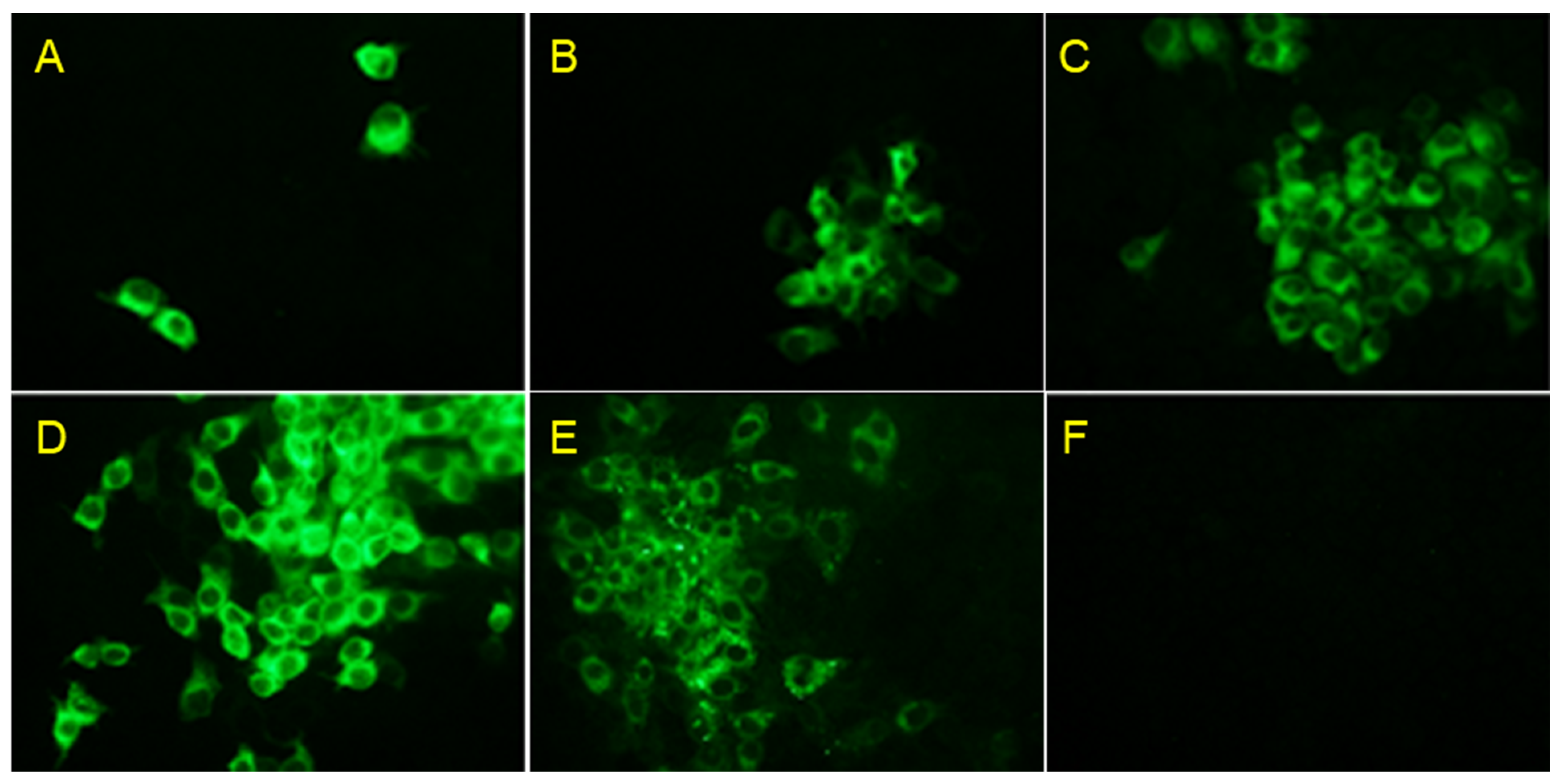Vaccines 11 01622 g002