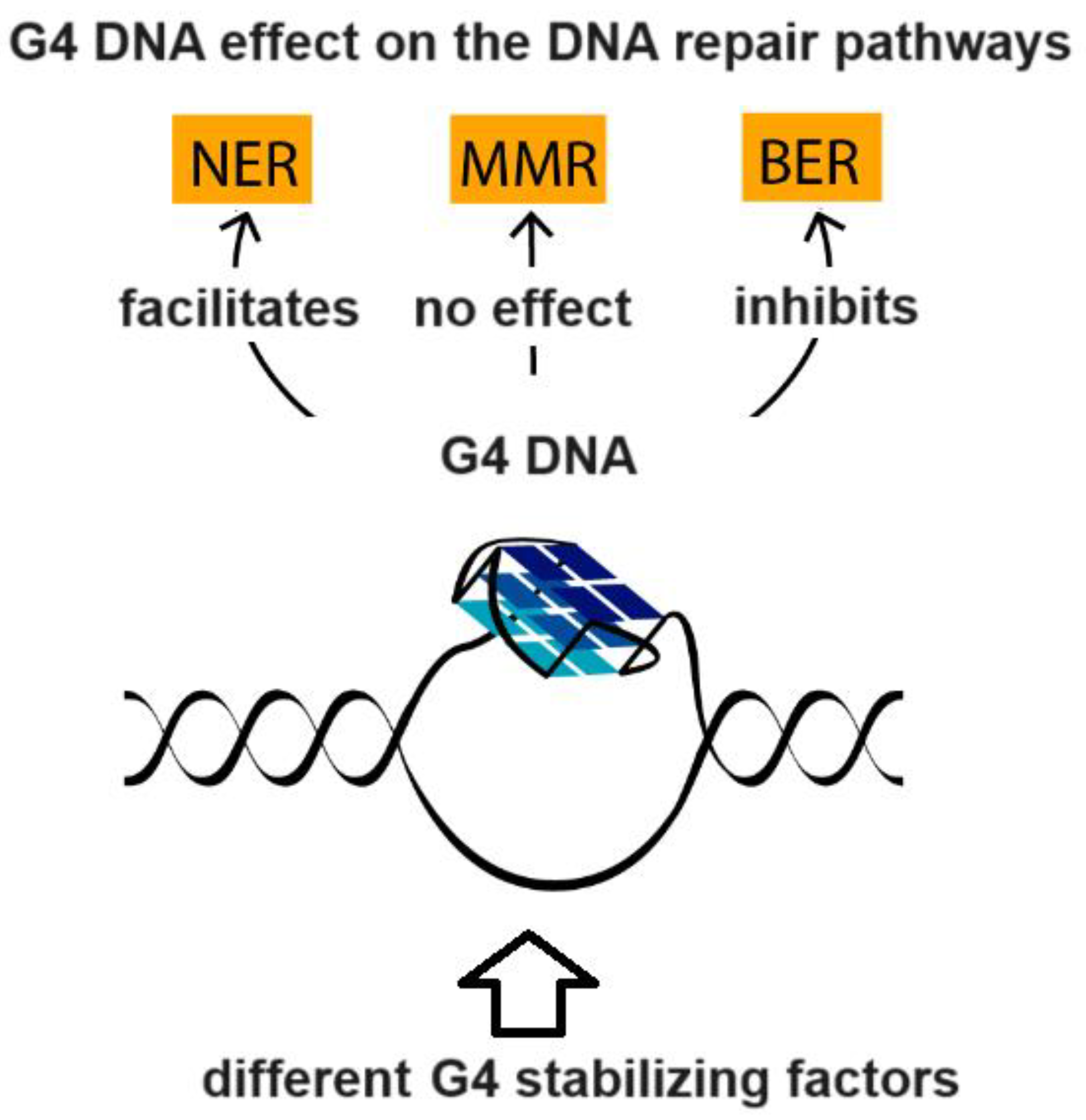 Vaccines 11 01706 g004 Vaccines 11 01706 g004