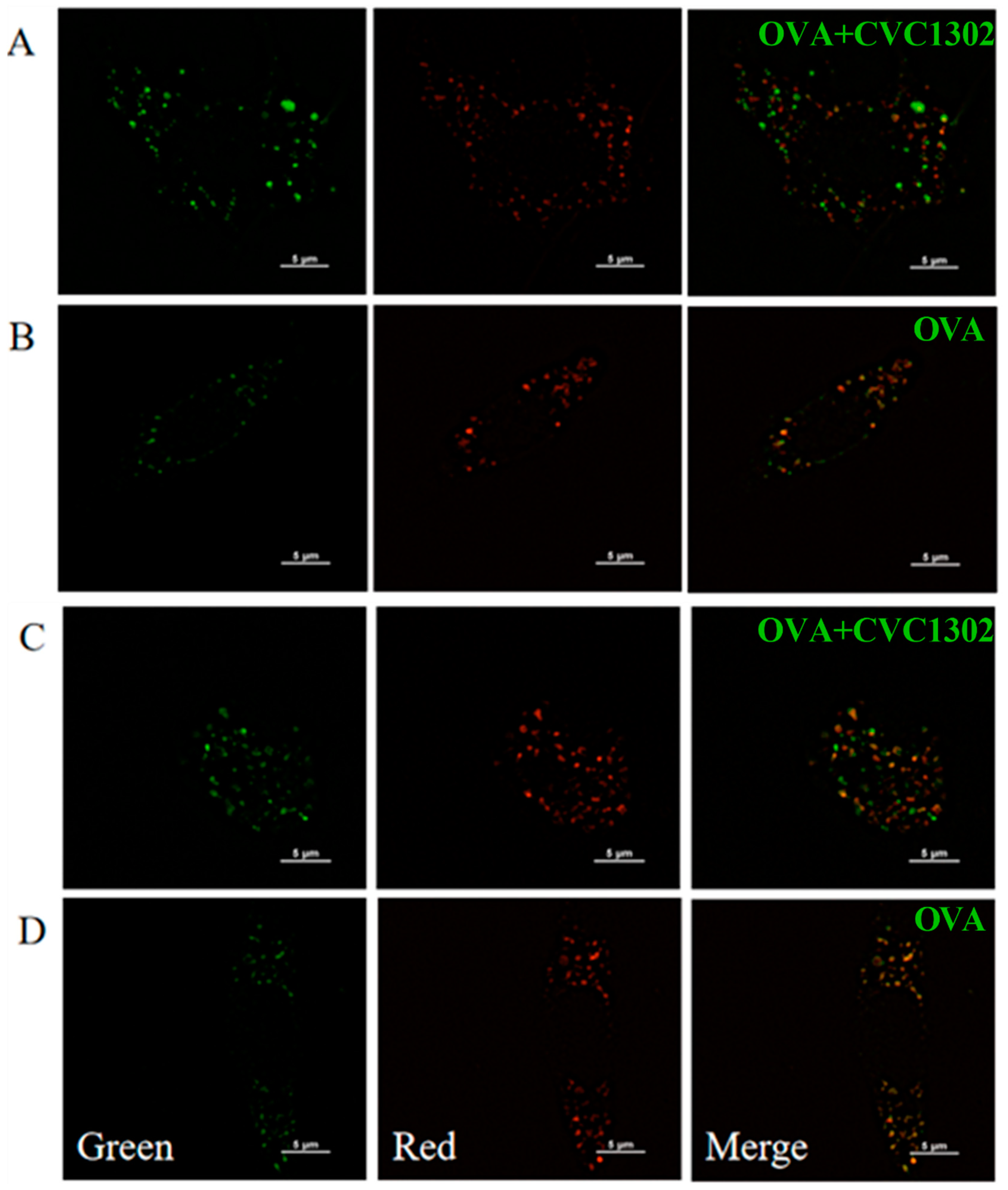 Vaccines 11 01718 g003