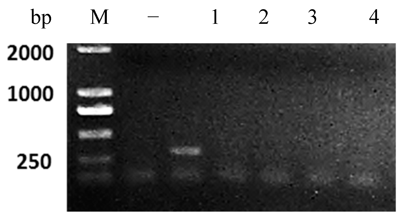 Vaccines 11 01740 g006