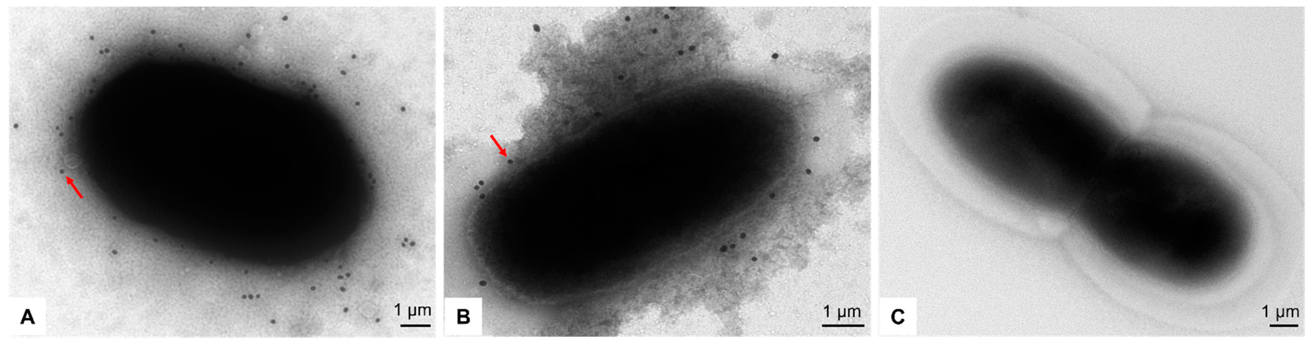 Vaccines 11 01758 g006