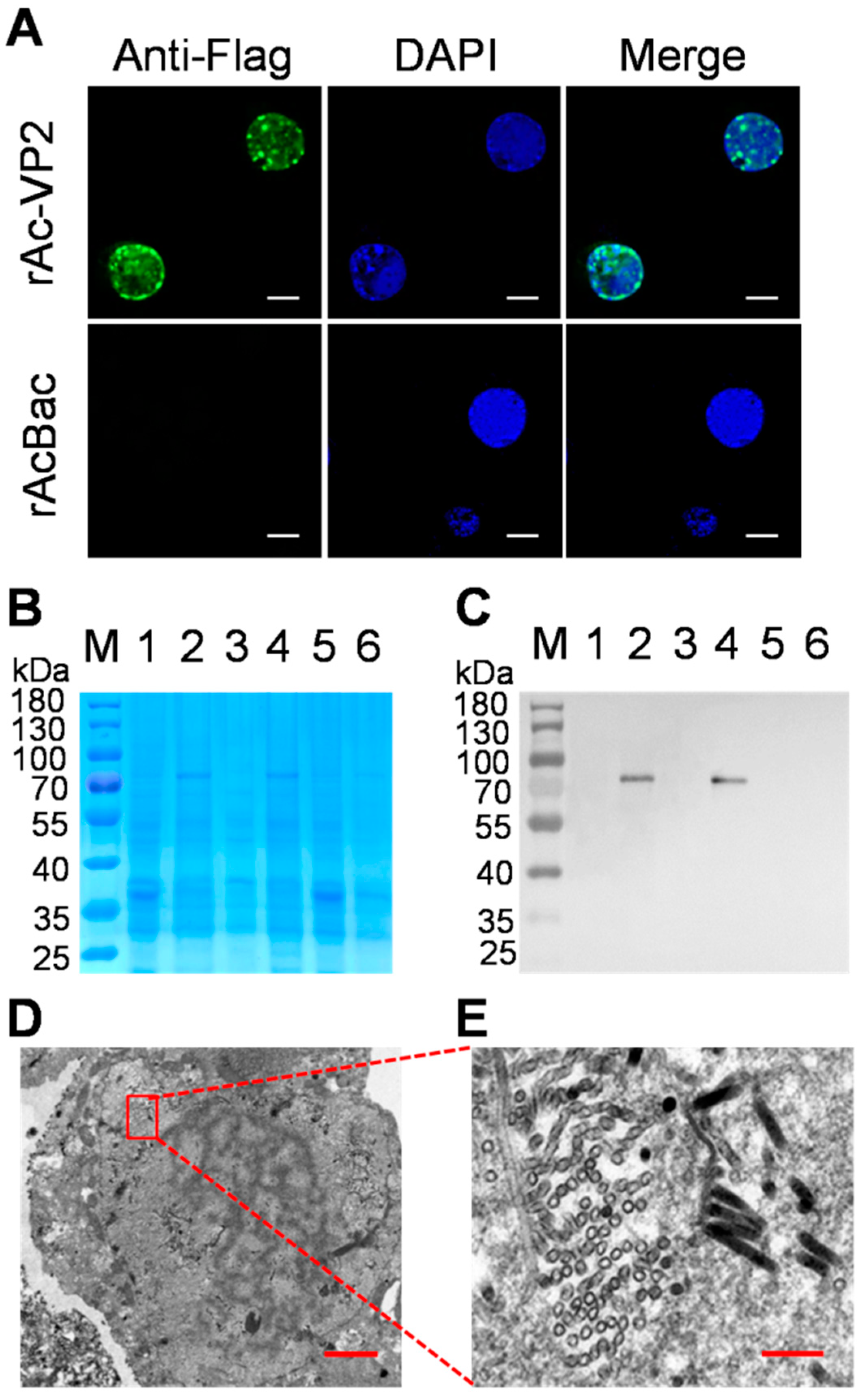 Vaccines 11 01768 g002