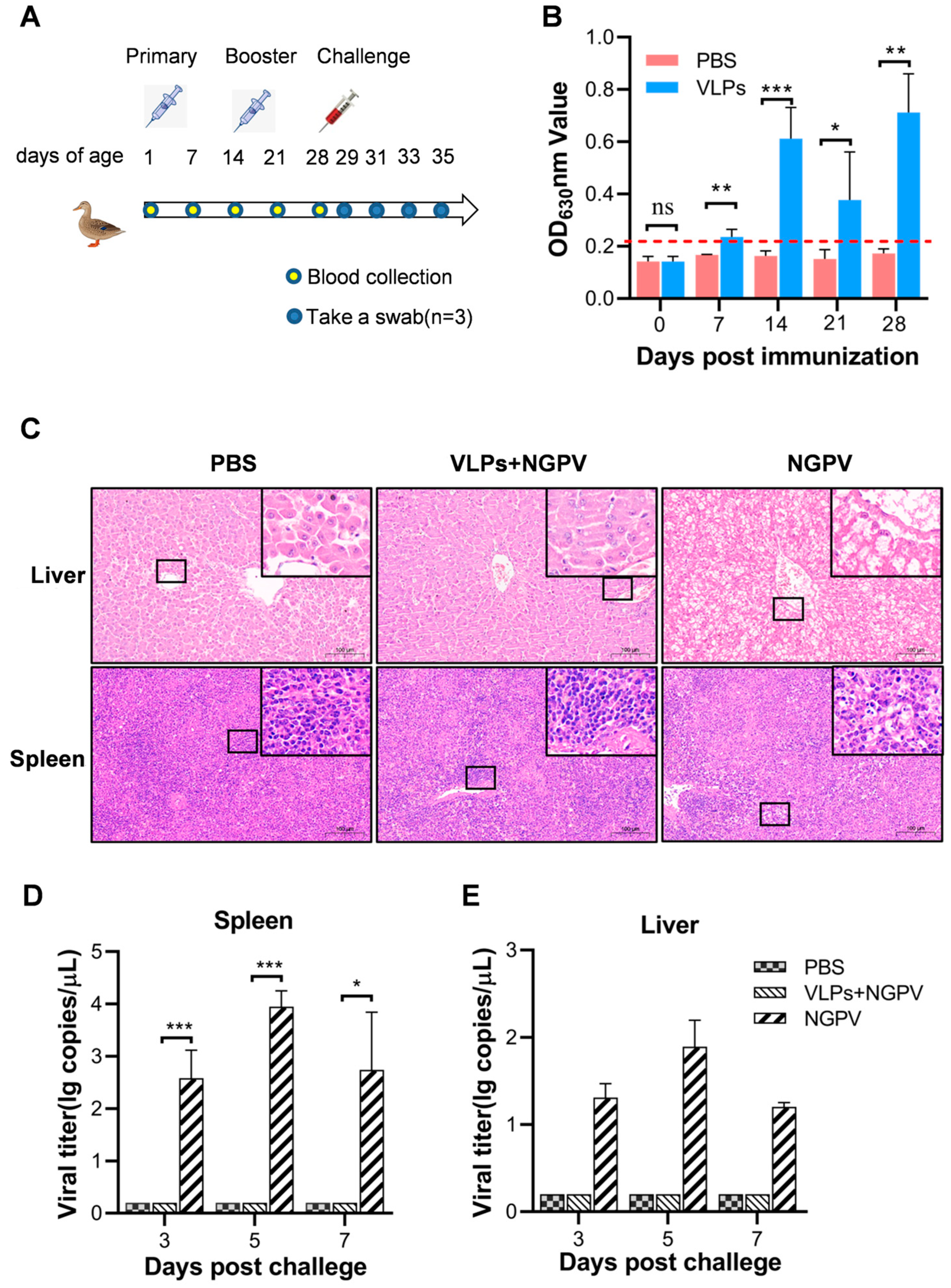 Vaccines 11 01768 g004