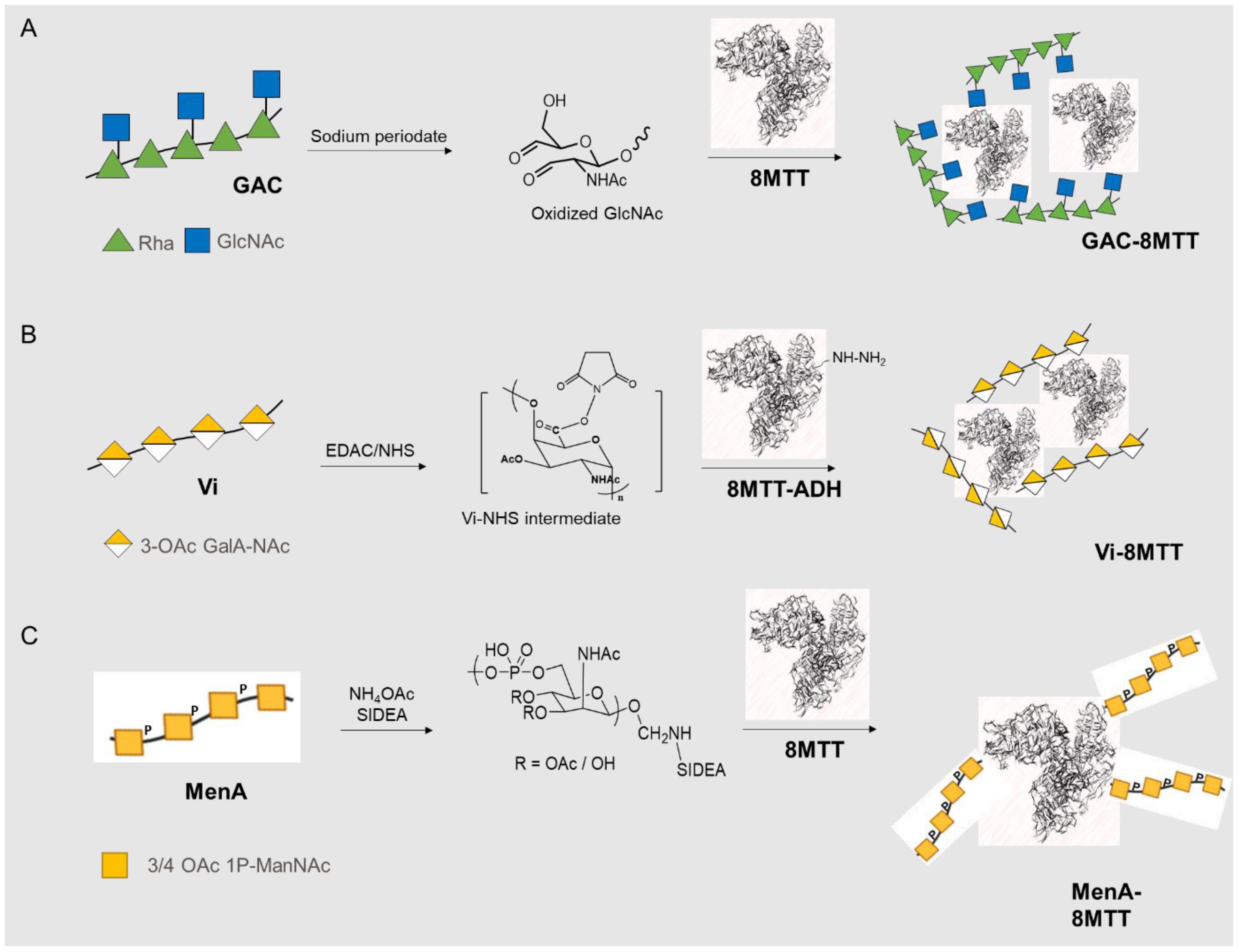 Vaccines 11 01770 g001 Vaccines 11 01770 g001