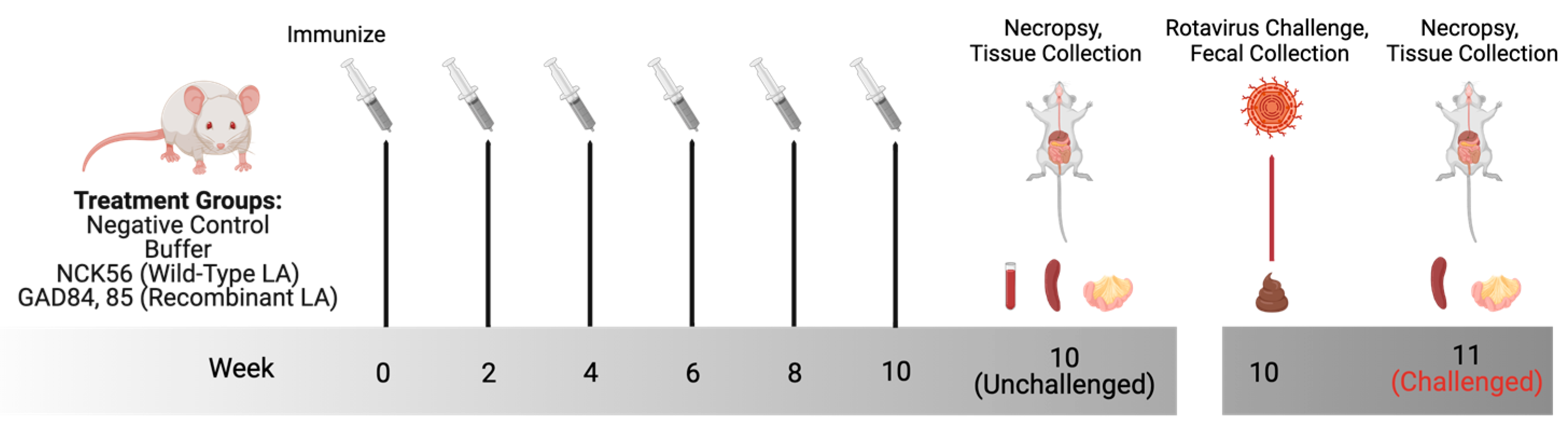 d-CON Announces Newest Formula That Rodents Will Risk Their Lives For