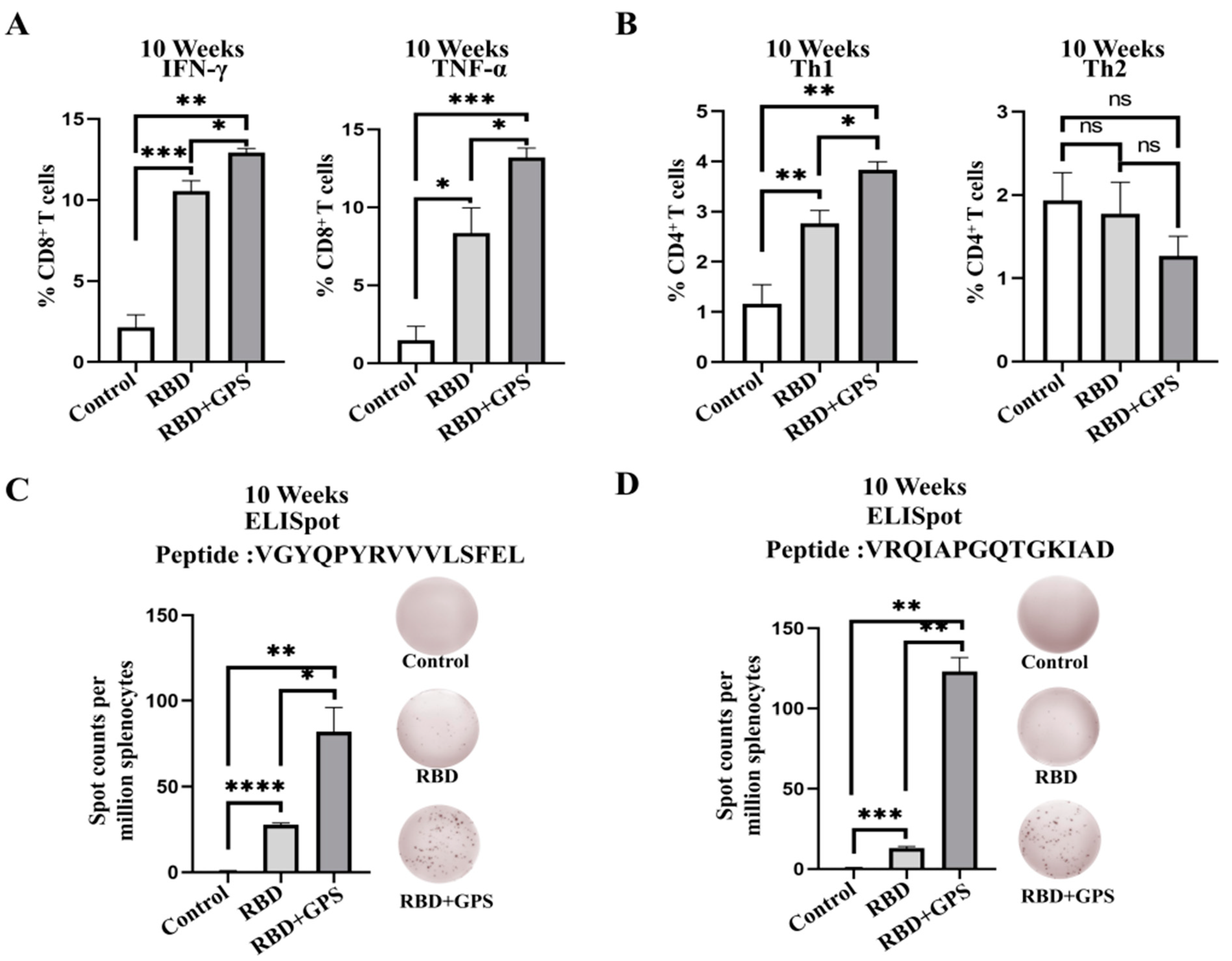 Vaccines 11 01833 g004