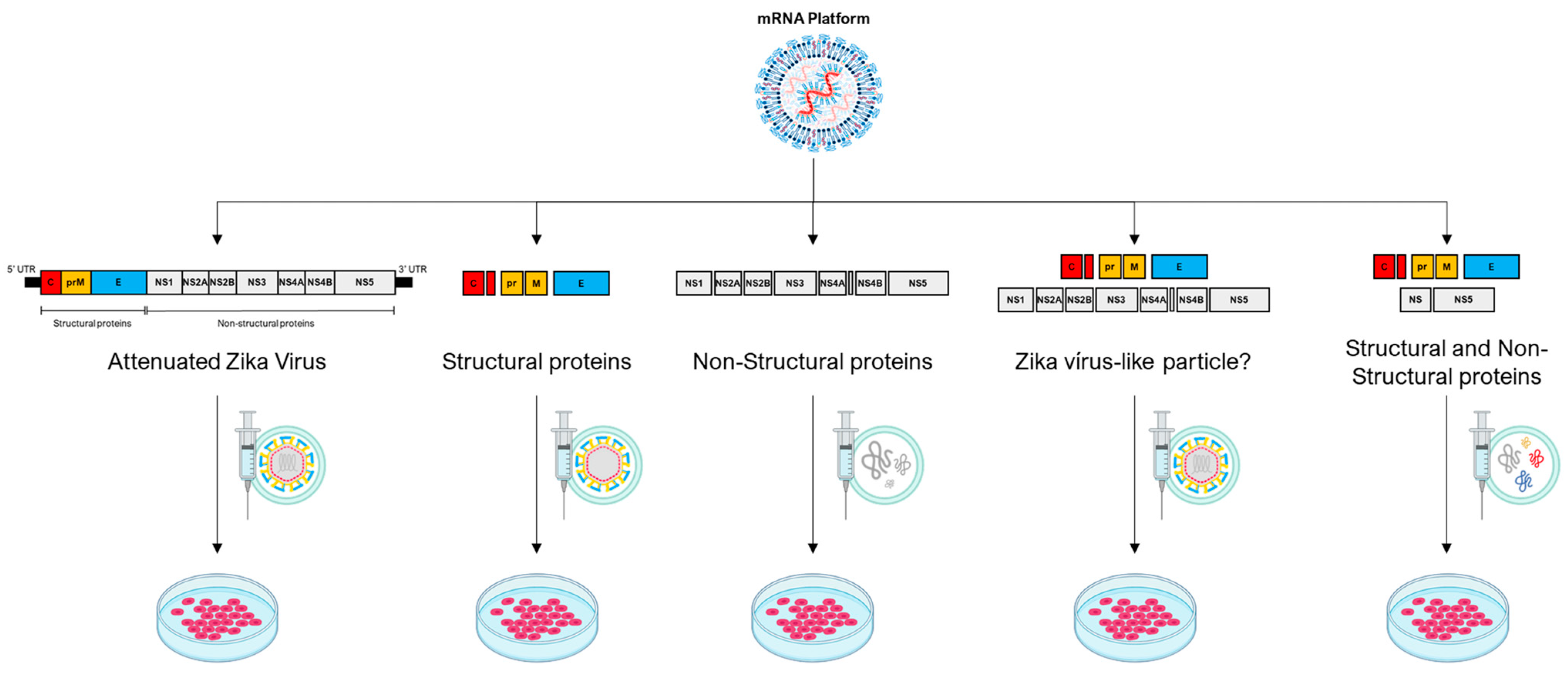 Vaccines 12 00061 g002