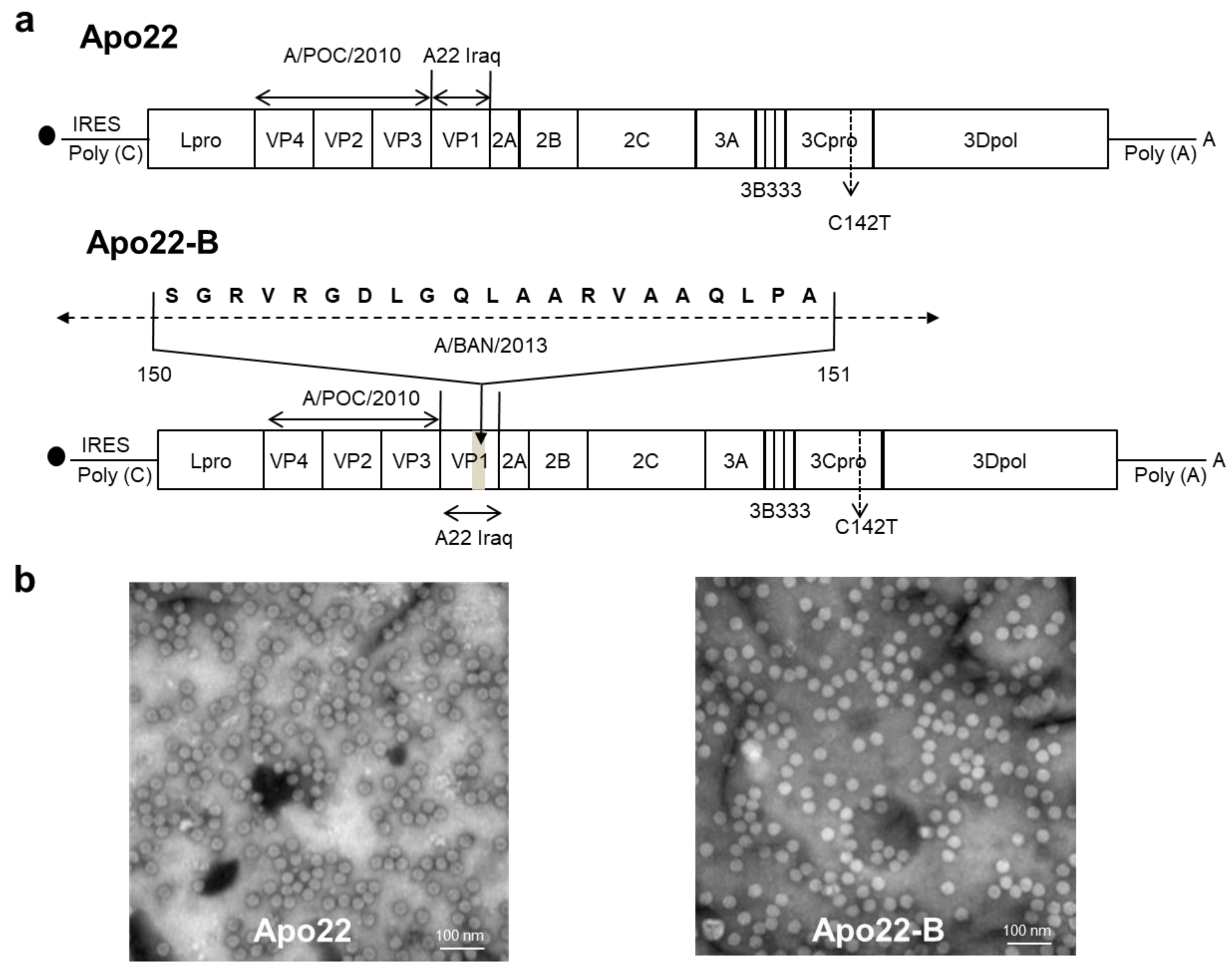 Vaccines 12 00064 g001