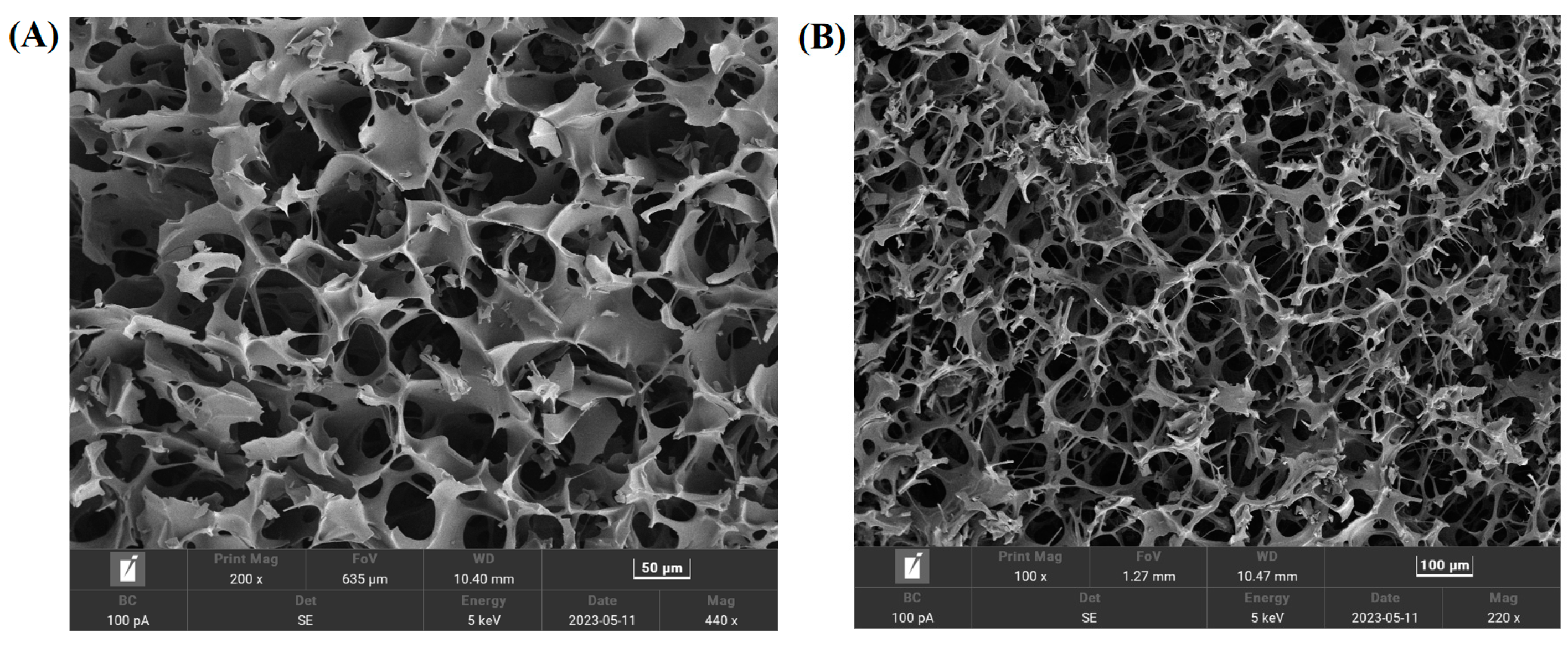 Vaccines 12 00065 g004