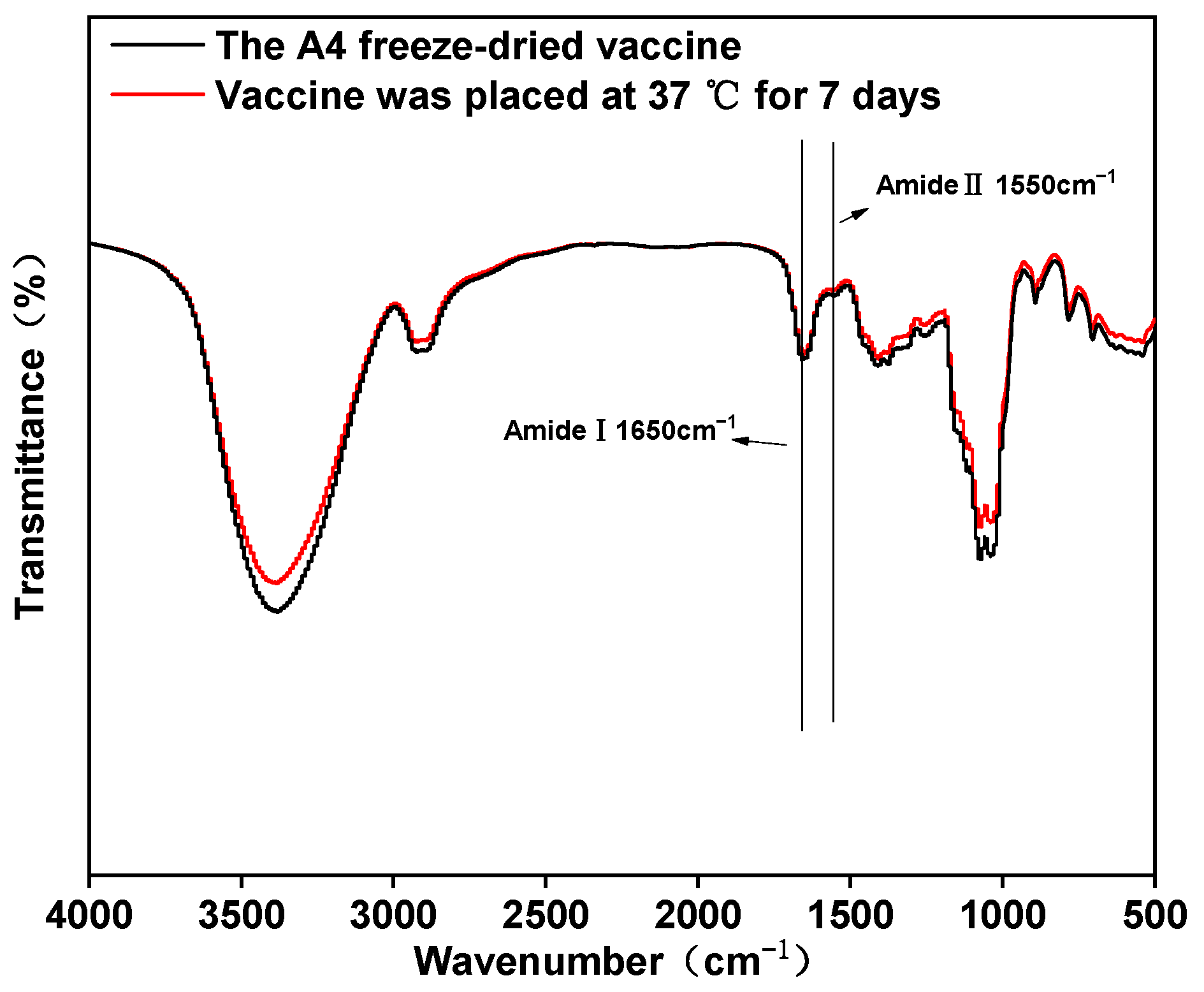 Vaccines 12 00065 g005