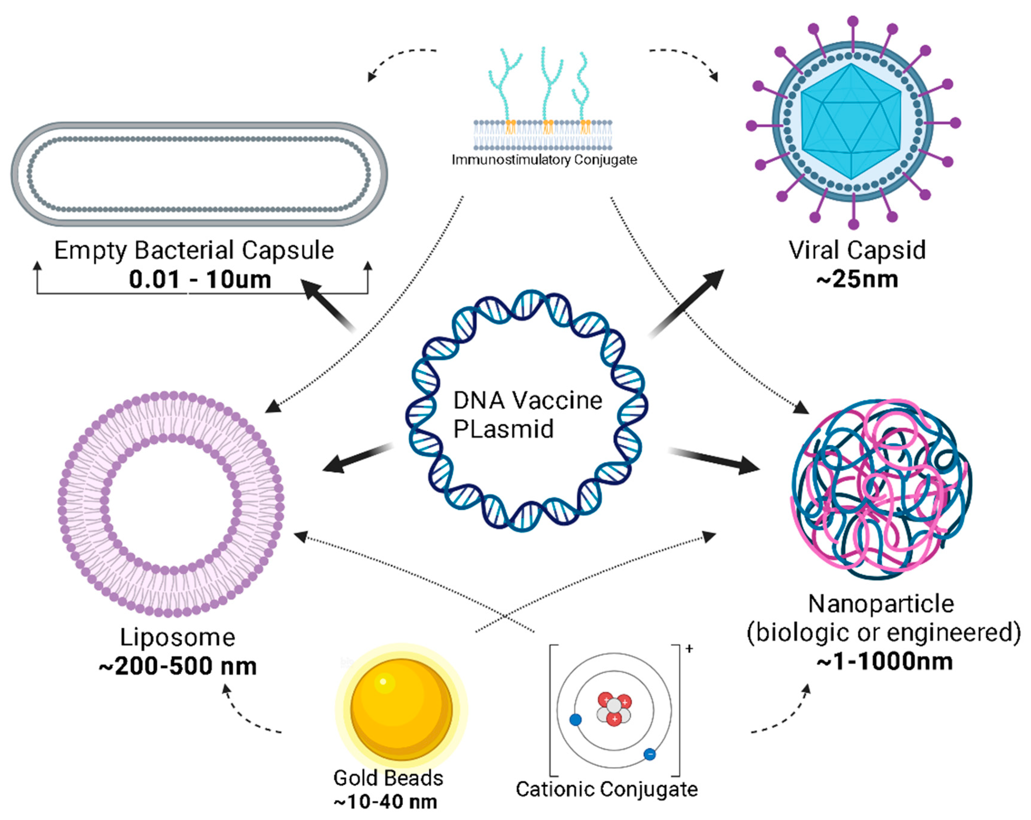 Vaccines 12 00071 g004 Vaccines 12 00071 g004