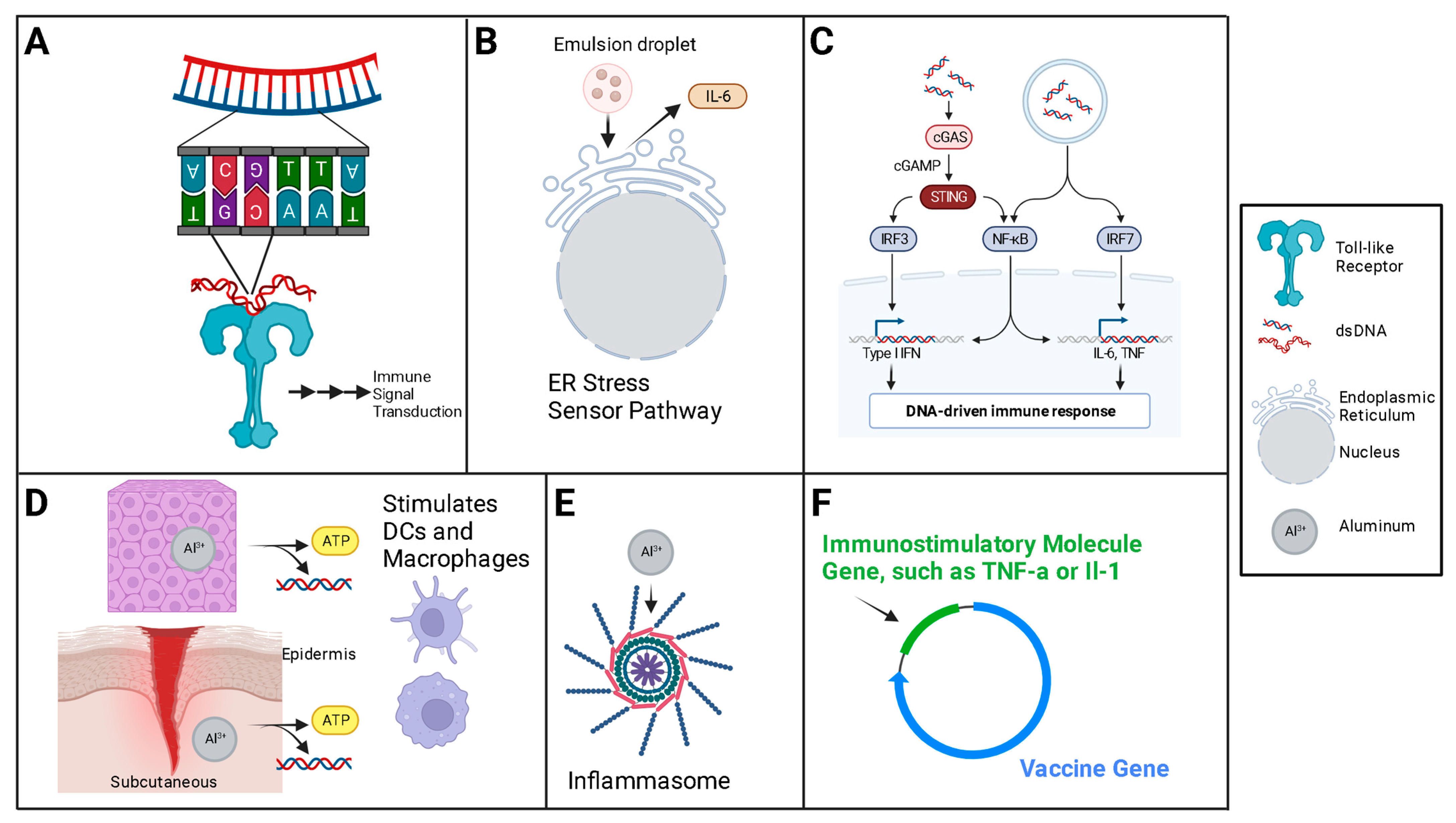Vaccines 12 00071 g005 Vaccines 12 00071 g005