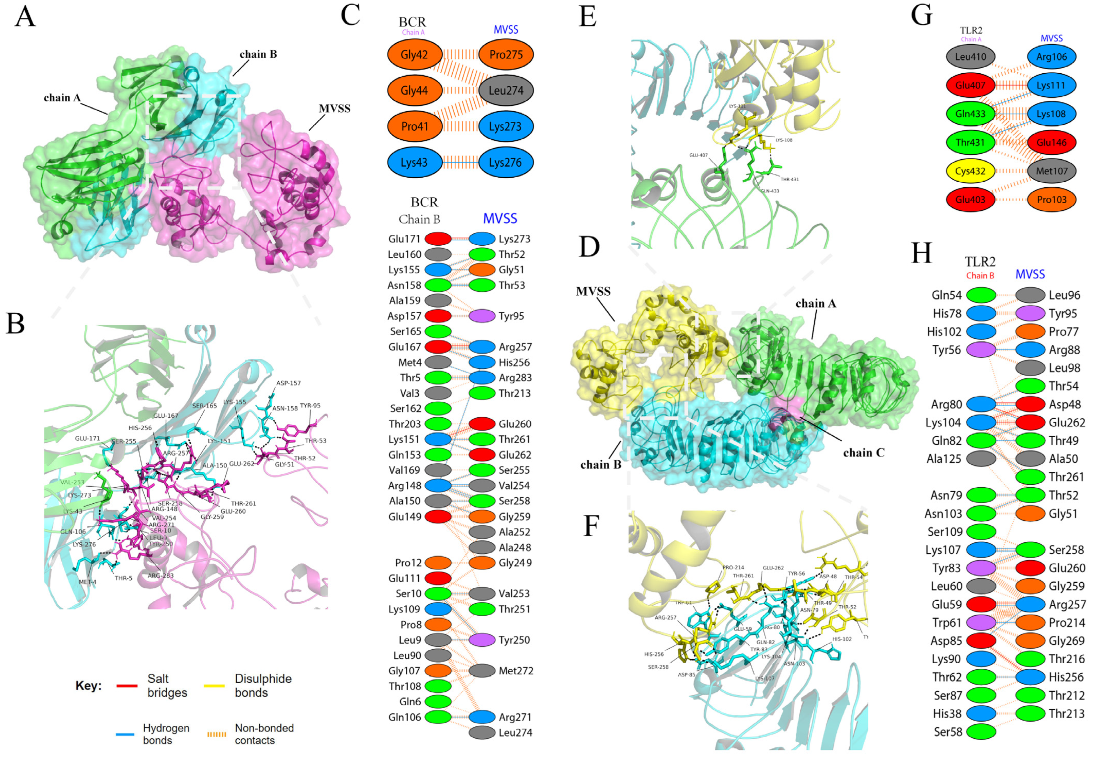 Vaccines 12 00137 g004 Vaccines 12 00137 g004