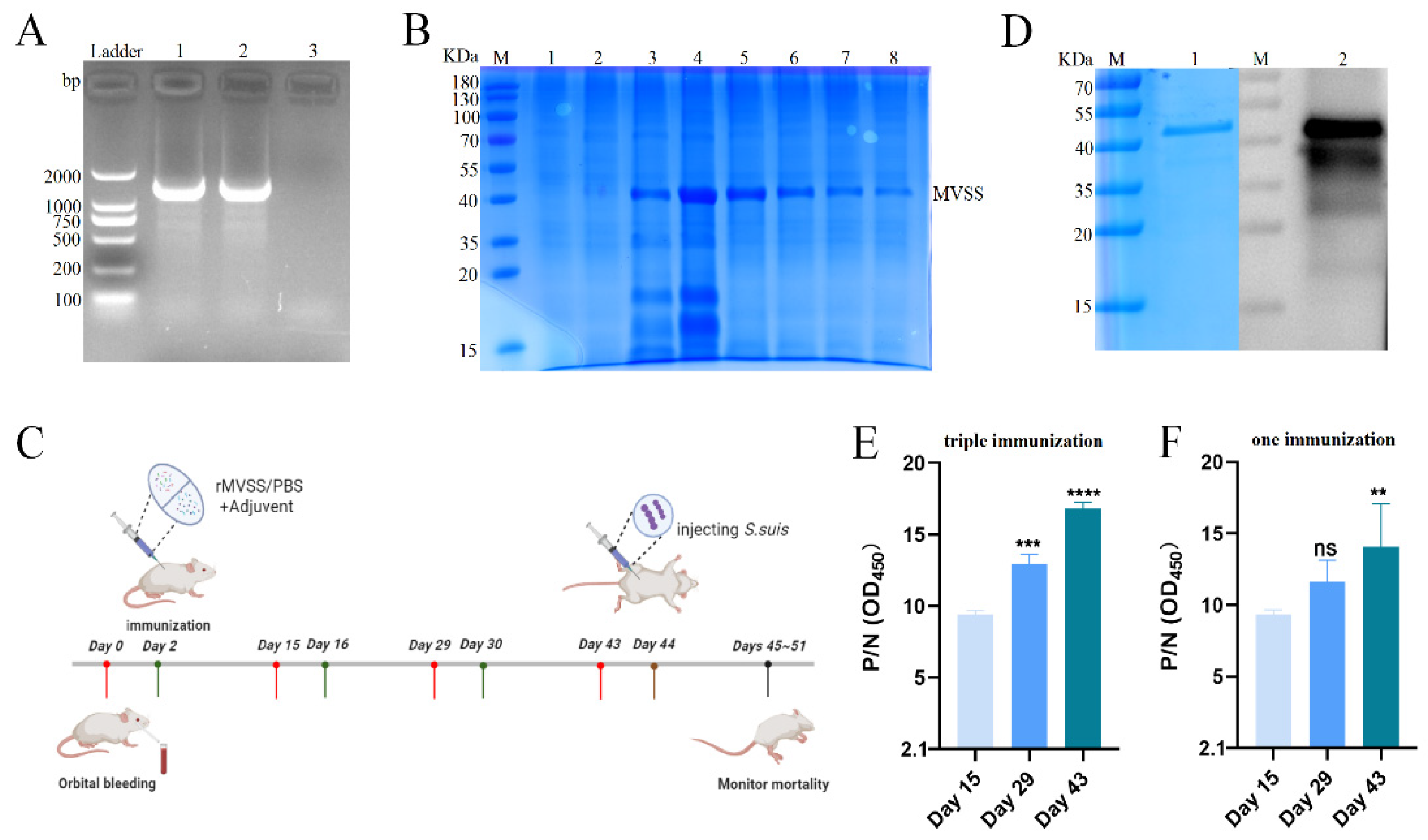 Vaccines 12 00137 g005 Vaccines 12 00137 g005