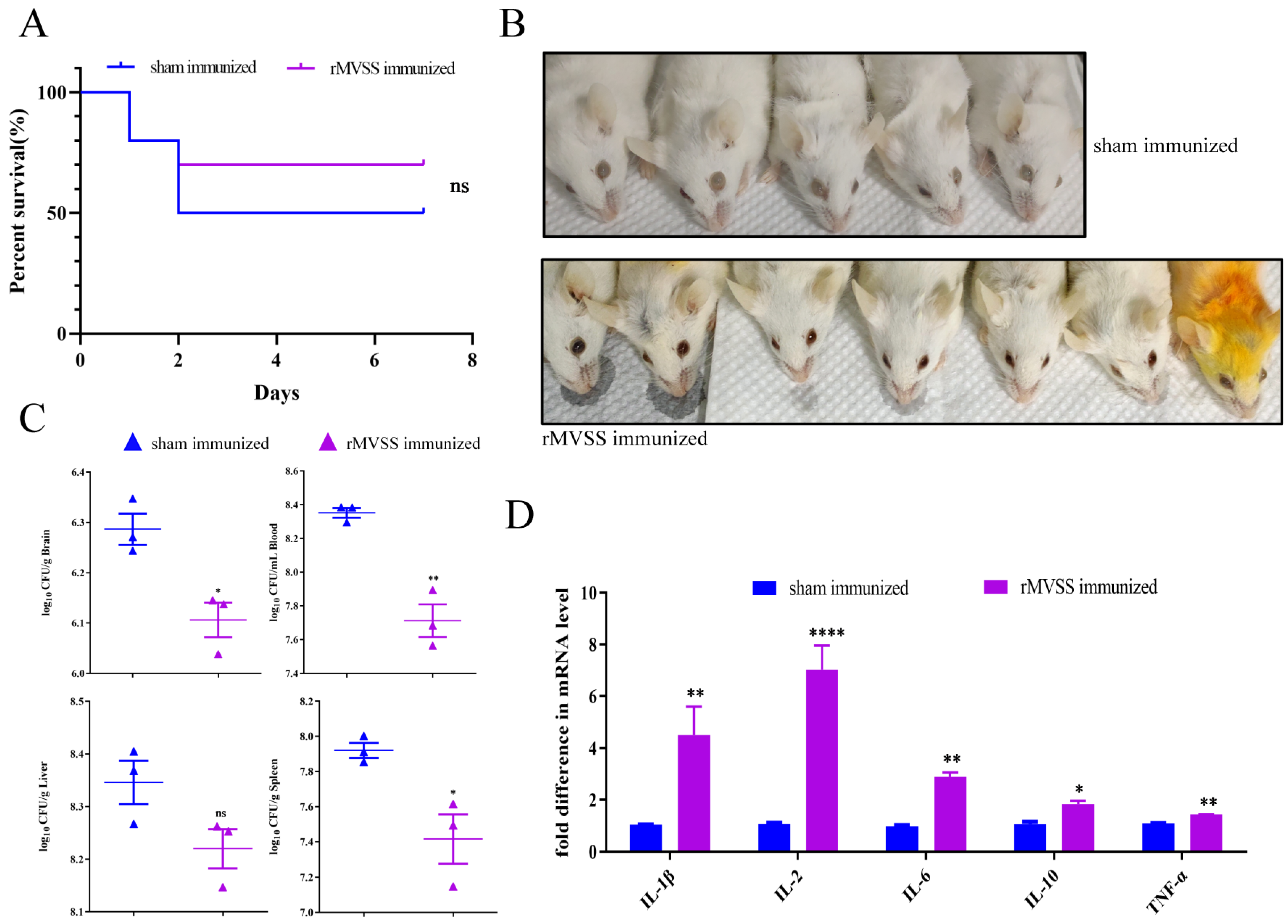 Vaccines 12 00137 g007 Vaccines 12 00137 g007