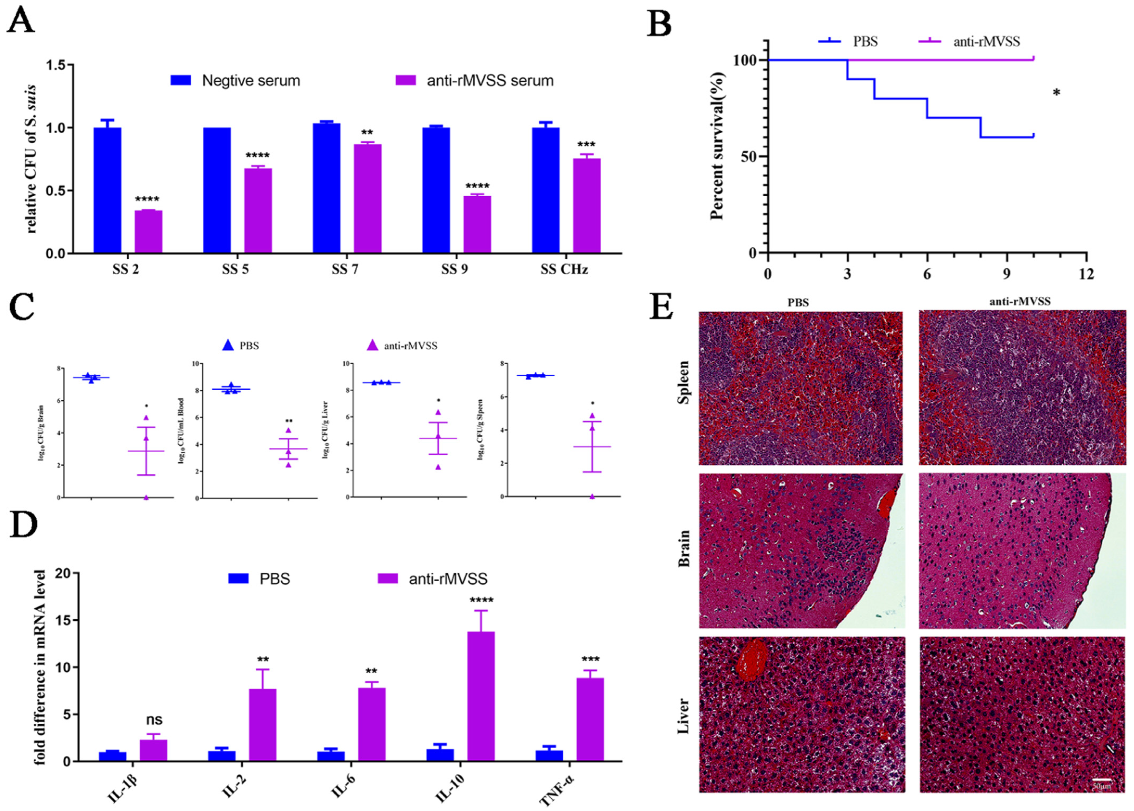 Vaccines 12 00137 g008 Vaccines 12 00137 g008
