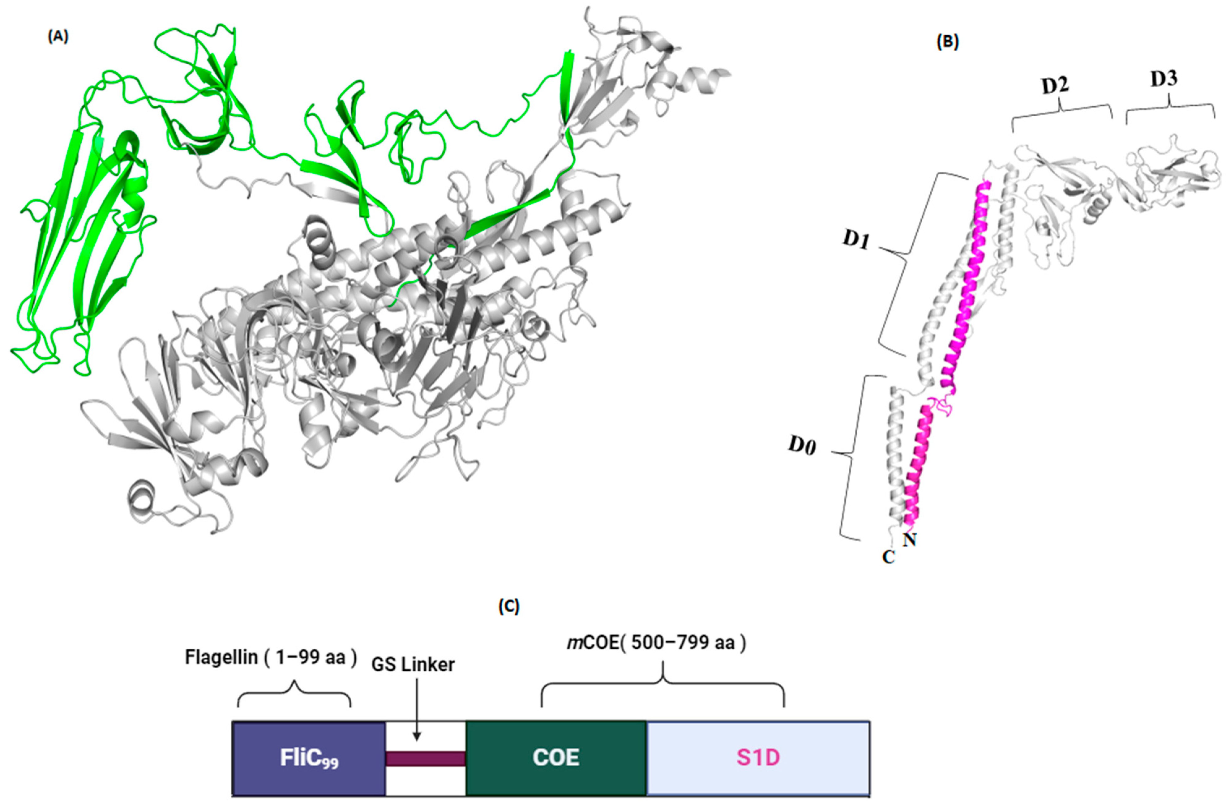Vaccines 12 00139 g006