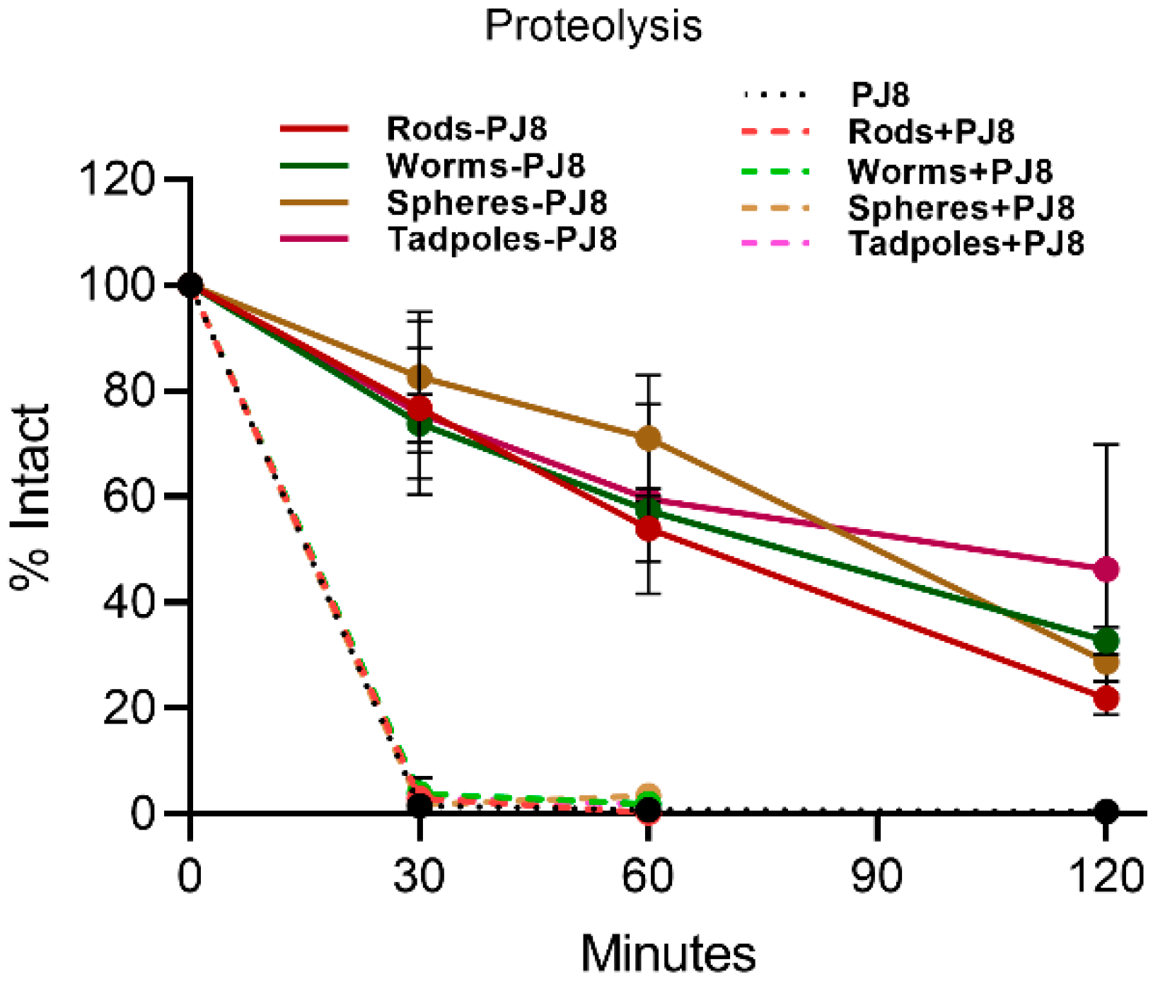 Vaccines 12 00198 g005