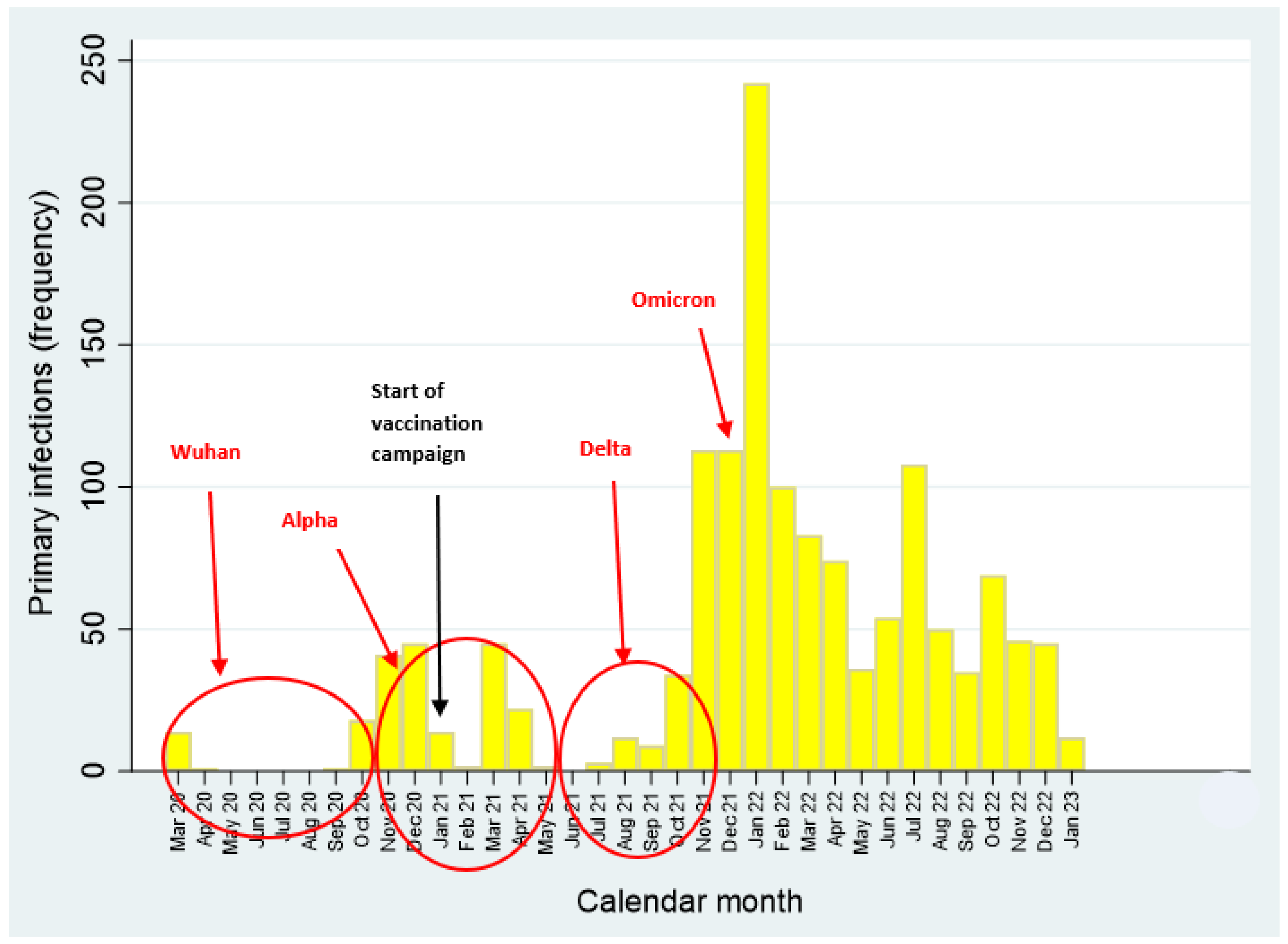 Vaccines 12 00254 g001