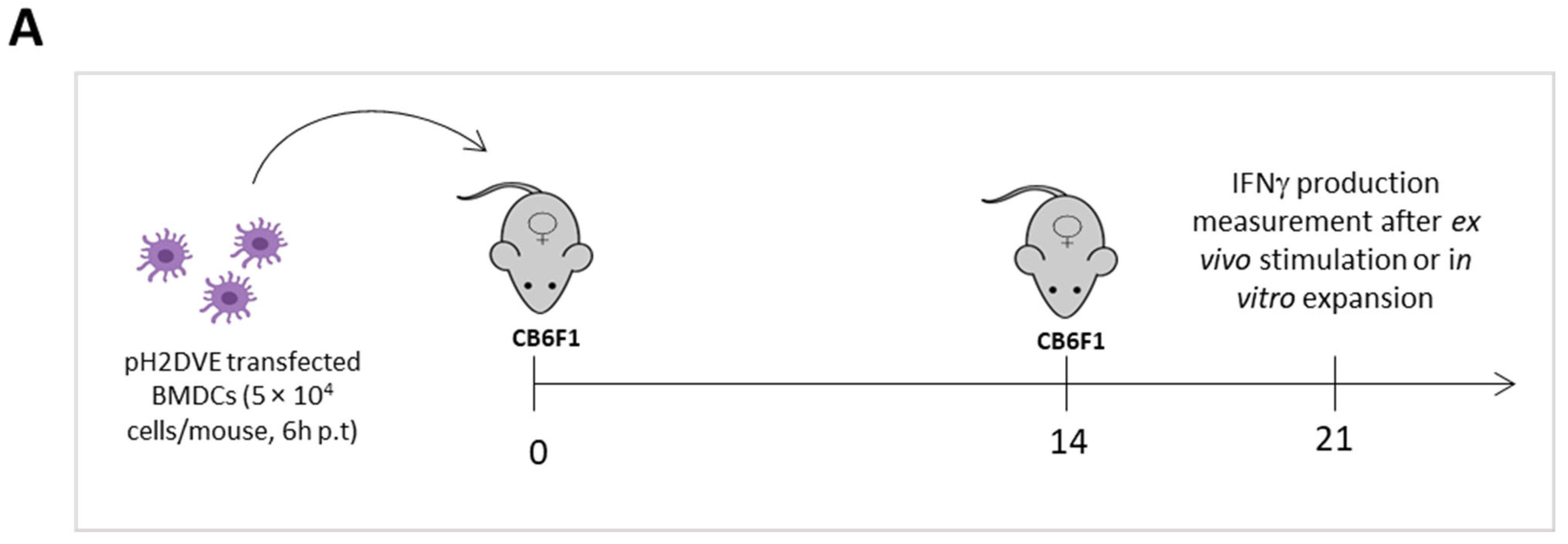 Vaccines 12 00316 g005a Vaccines 12 00316 g005a