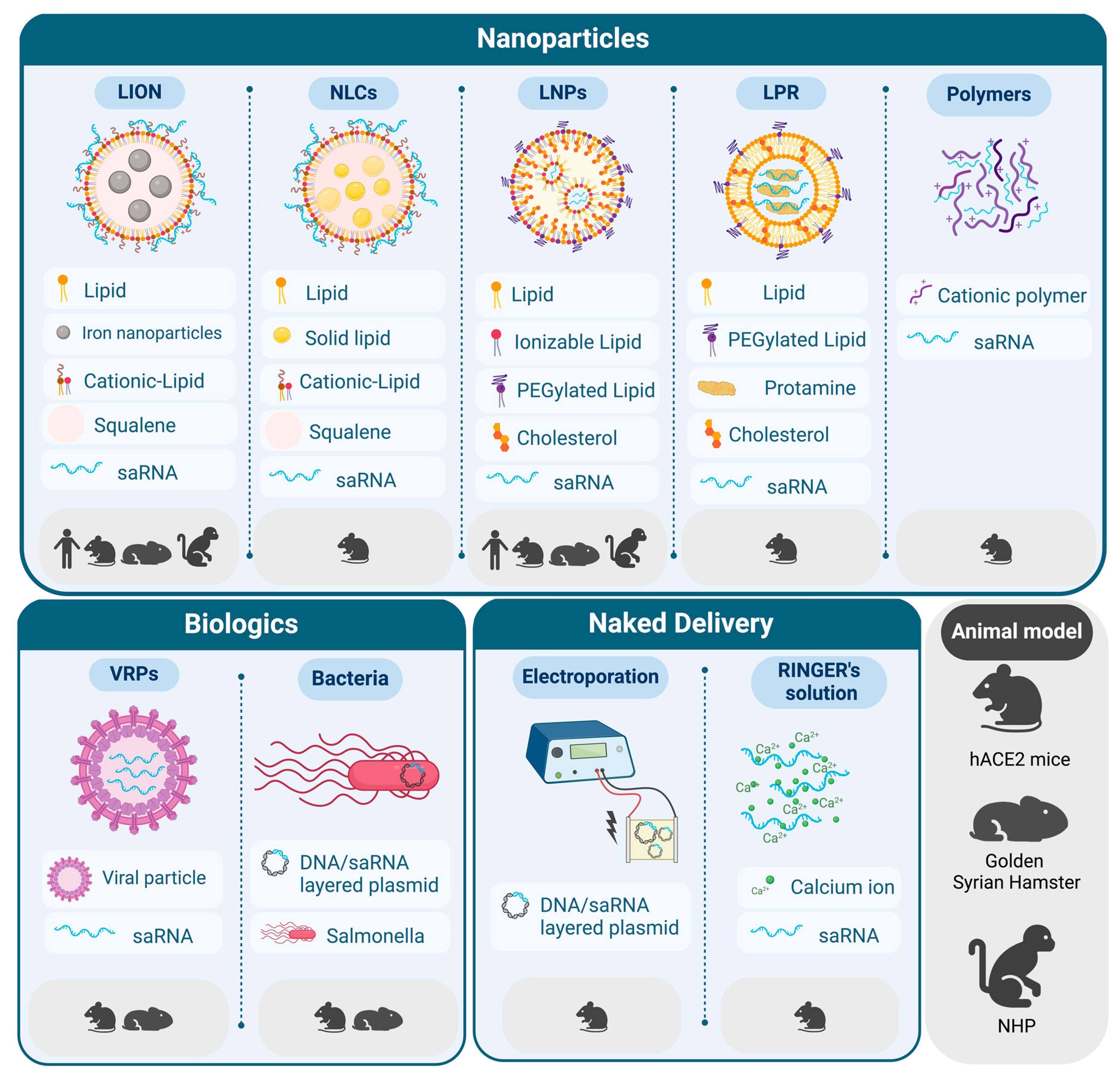 Vaccines 12 00318 g002 Vaccines 12 00318 g002