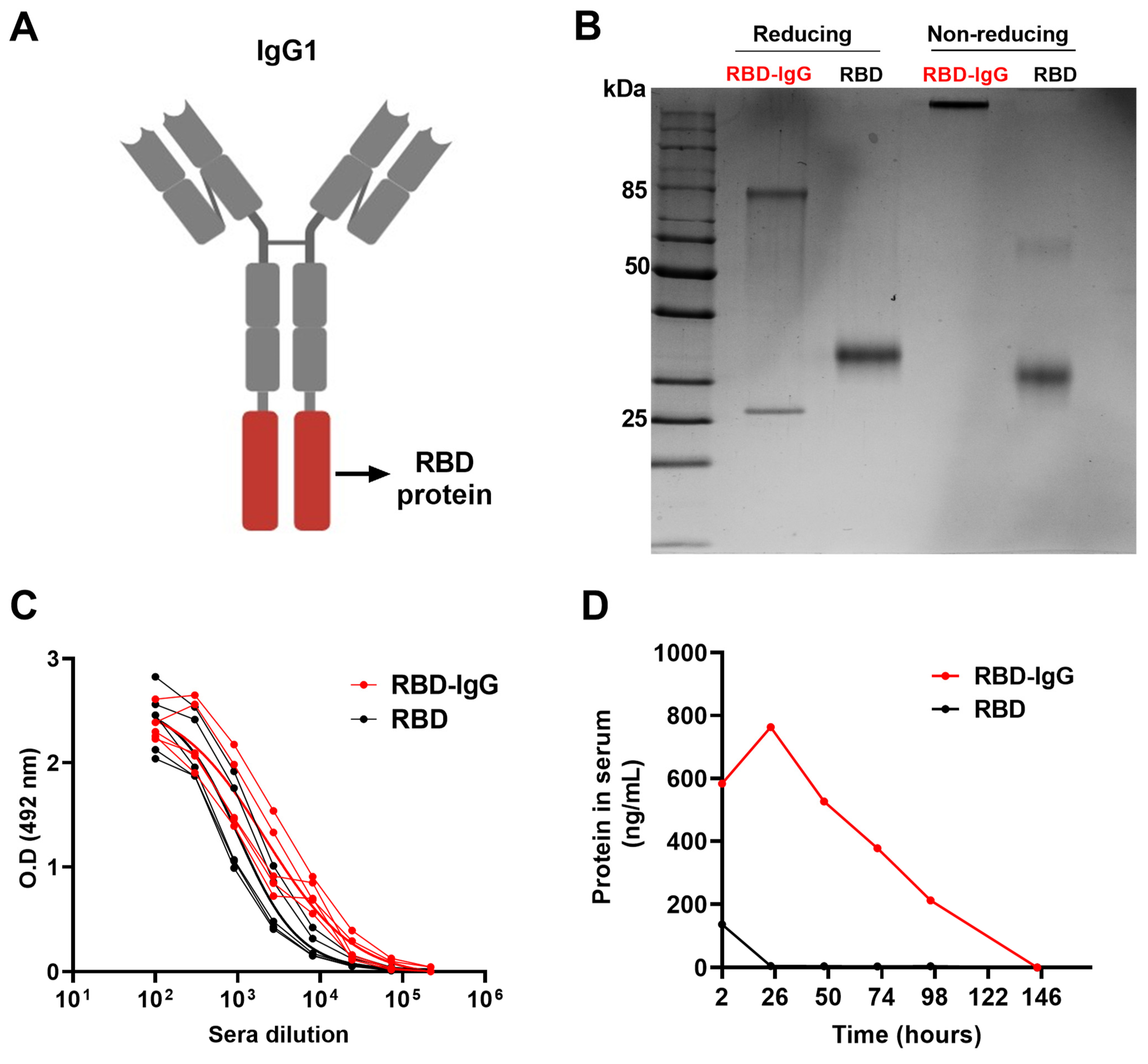 Vaccines 12 00356 g001