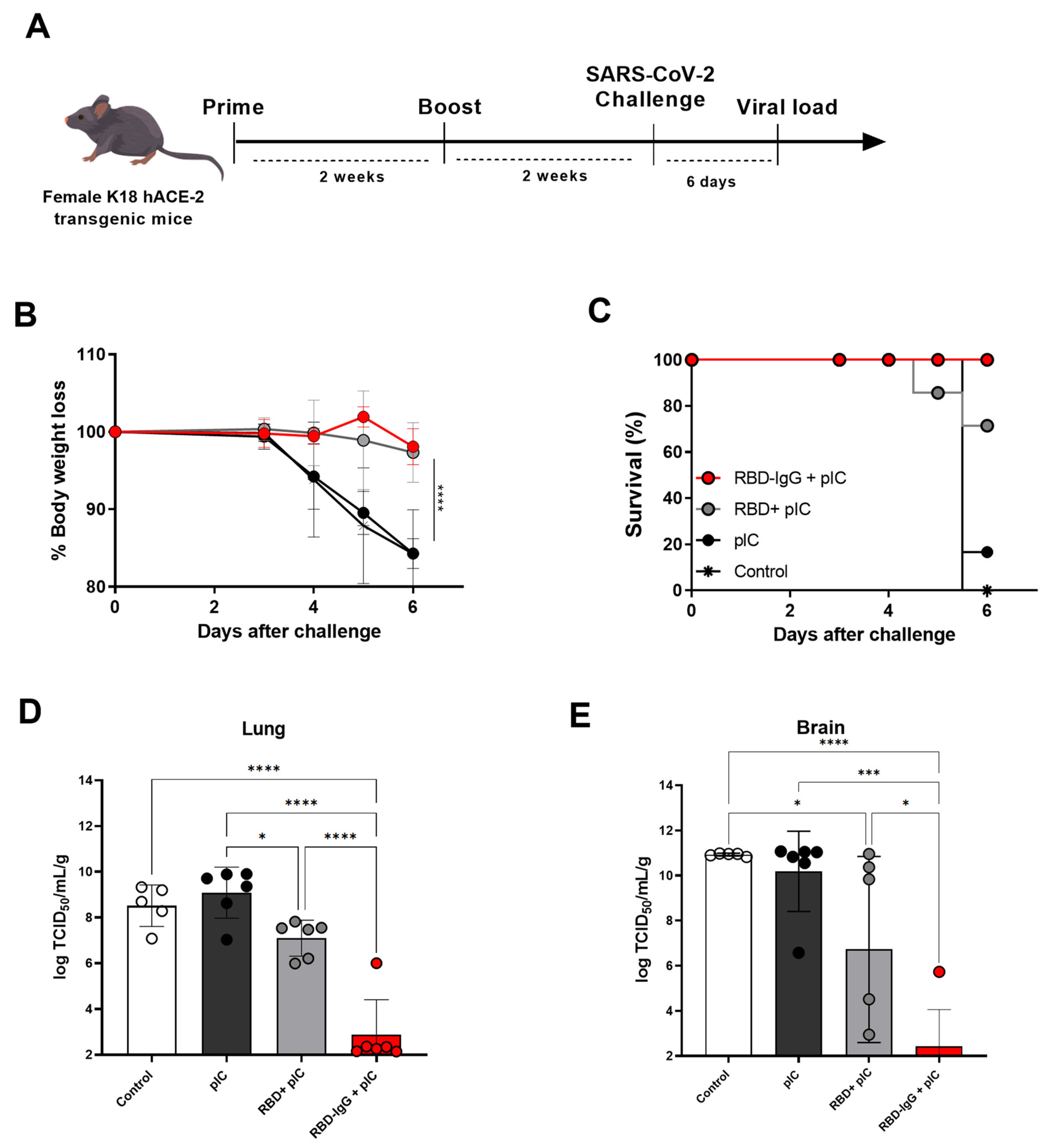 Vaccines 12 00356 g004
