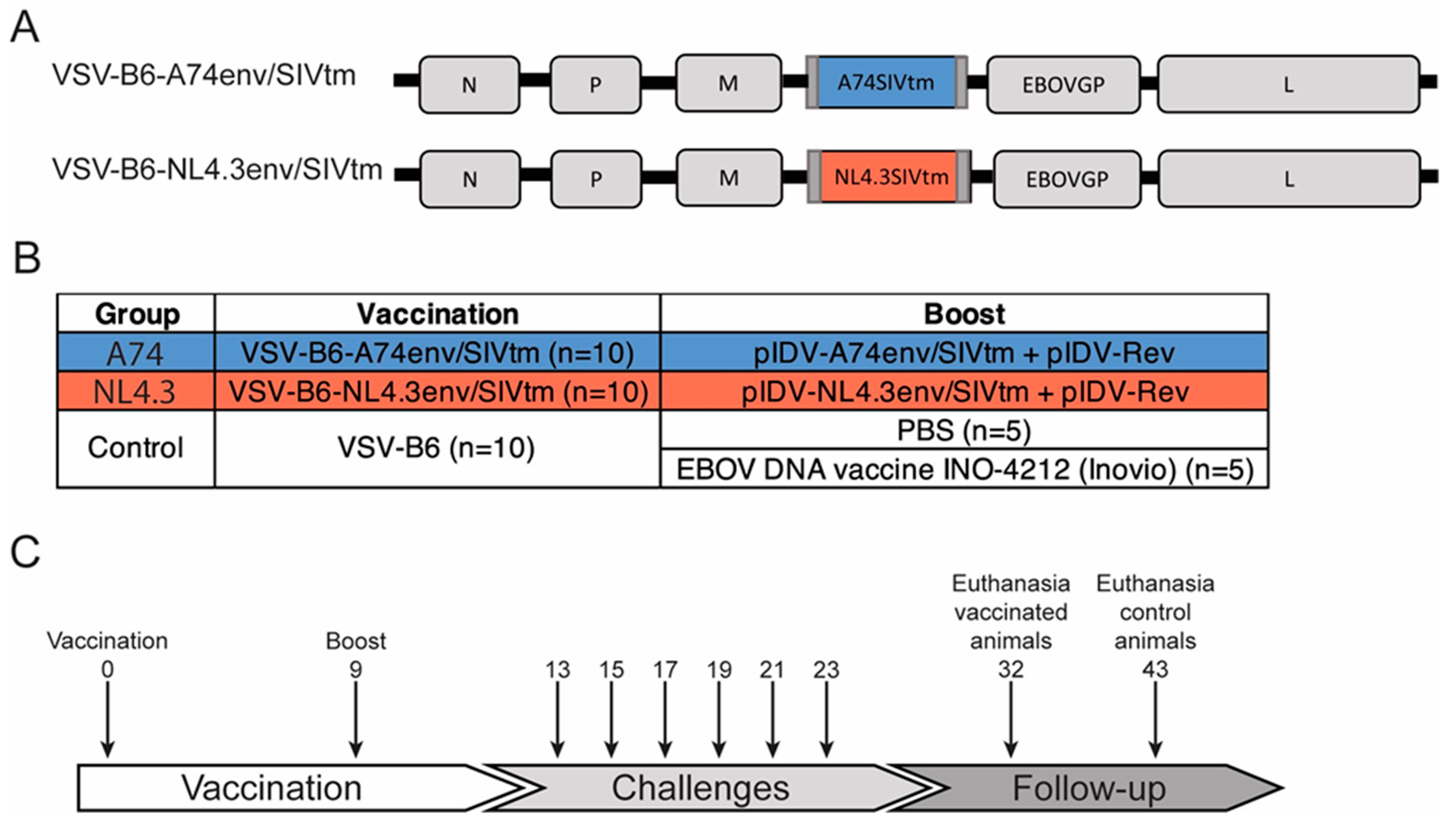 Vaccines 12 00369 g001