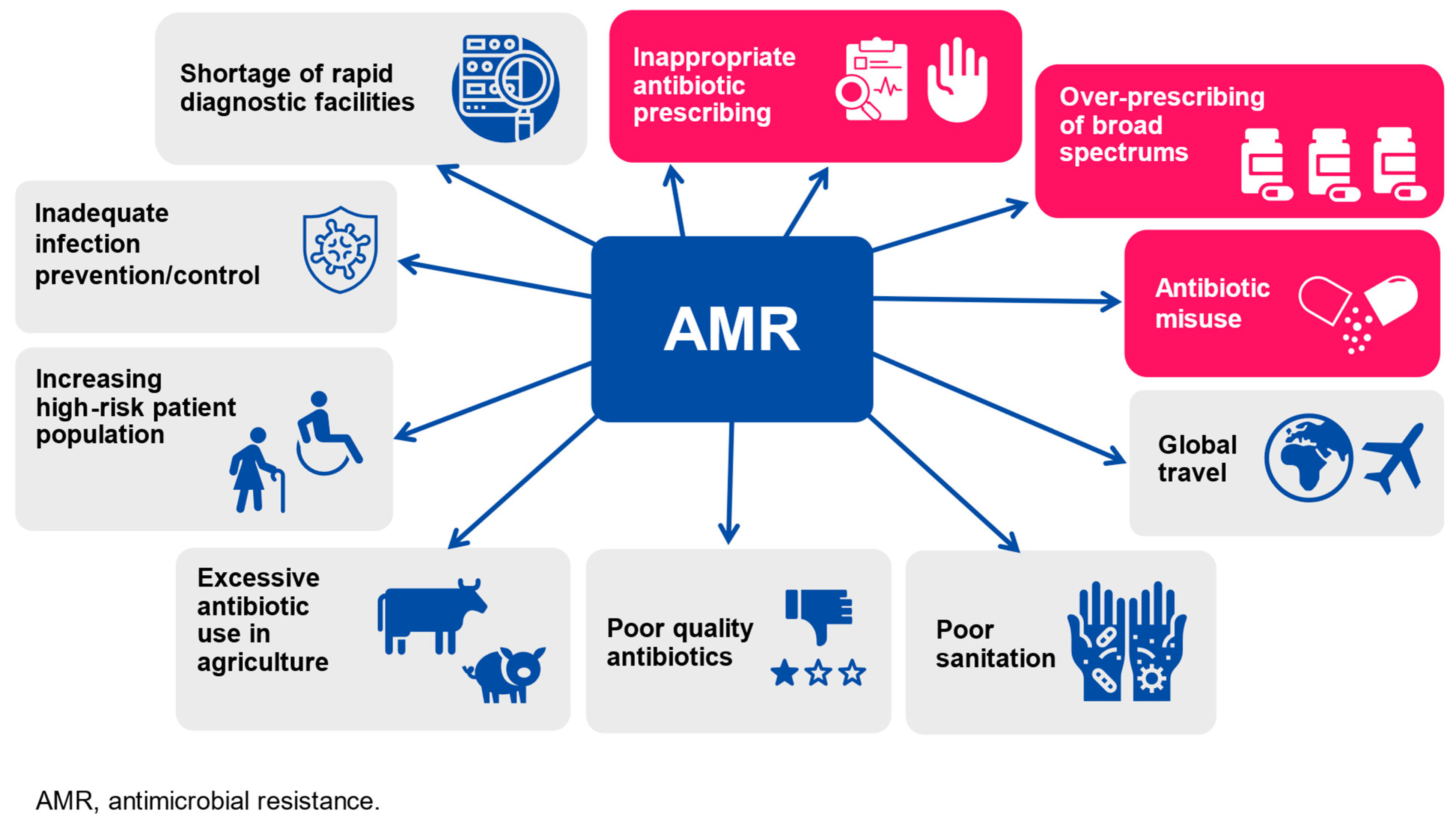 Vaccines 12 00384 g001
