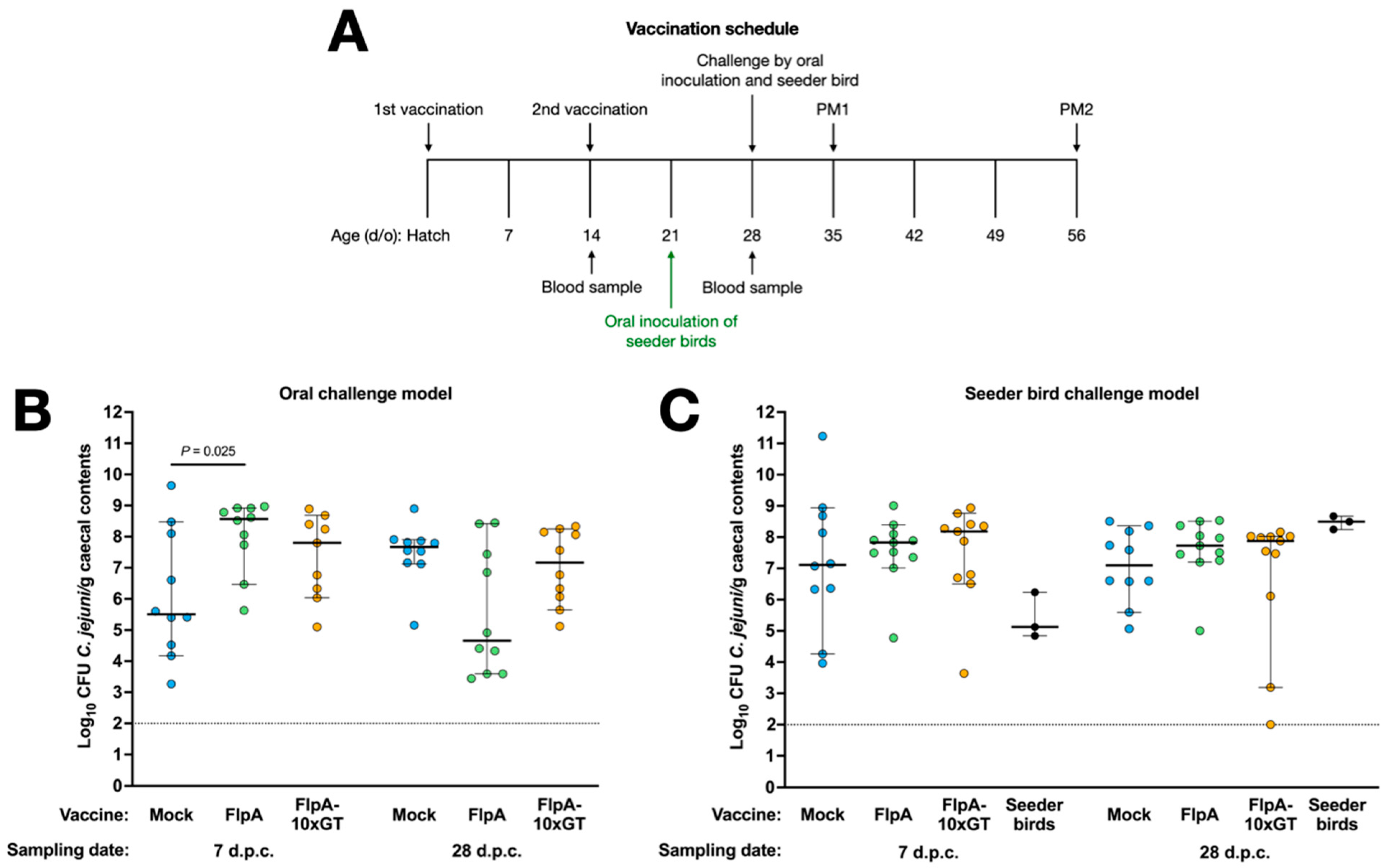 Vaccines 12 00395 g003